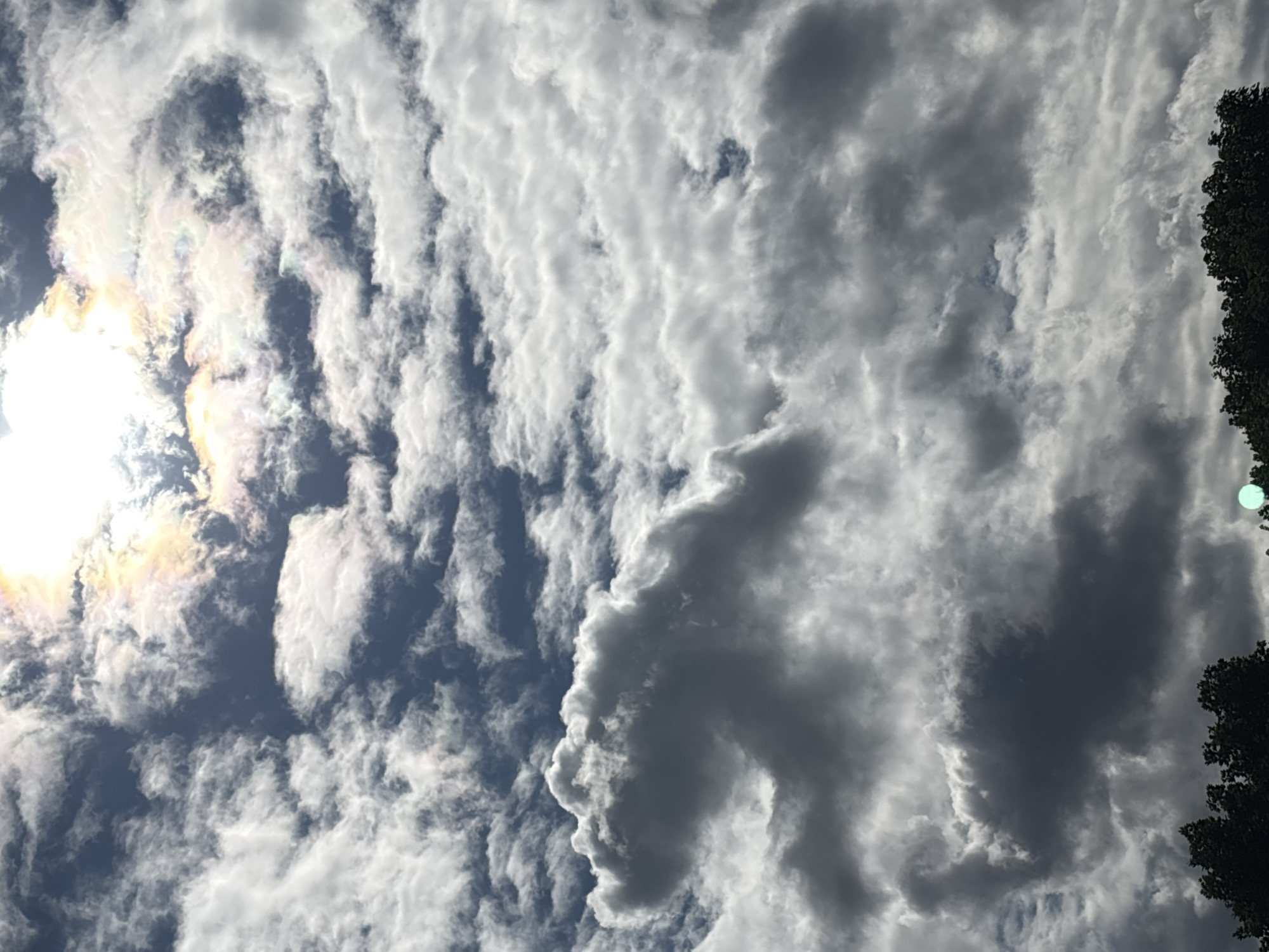 This image depicts a sky filled with dramatic clouds, illuminated by the sun, which appears as a bright, iridescent halo through the atmospheric haze. The clouds are varied in texture and density, with some appearing dark and heavy, suggesting potential rain, while others are wispy and light. The sun's rays create a colorful display of light refractions within the clouds, possibly indicating a phenomenon like a cloud iridescence. The lower part of the image shows a dark silhouette of trees, suggesting a natural landscape or the edge of a forested area. There is no indication of the city of Ostrov, Russia, or any people or specific human-made objects in the visible portion of the image.