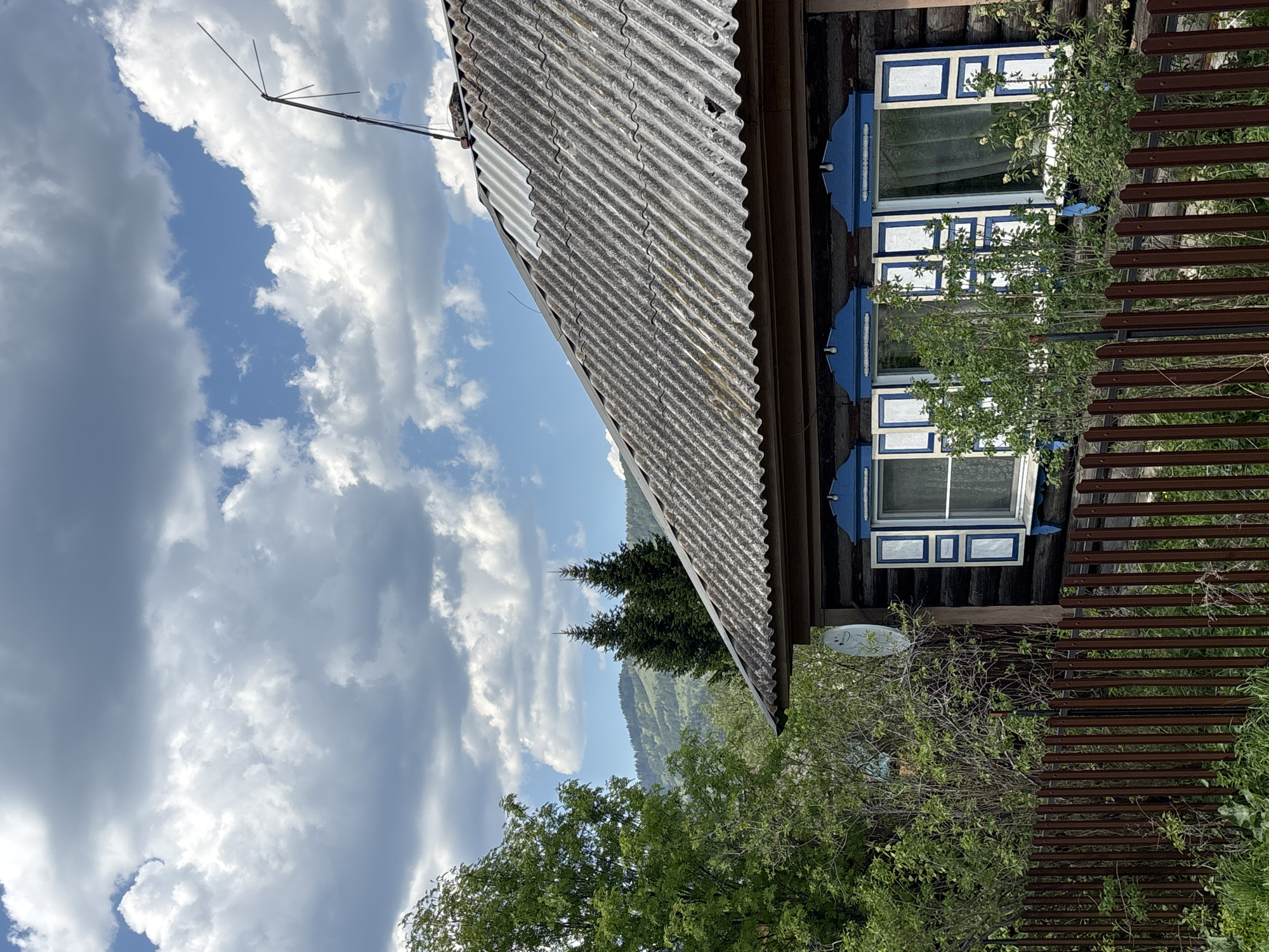 The image captures a rustic scene likely in a rural area, possibly Овсянка, Russia, as indicated in the prompt. The scene includes elements of nature and a wooden structure with distinct architectural features.
A corrugated metal roof dominates the top portion of the image. Underneath, a dark wooden wall has windows with white frames trimmed with blue accents. Vegetation, including climbing plants, partially covers the windows and walls.
To the side, a wooden fence made of horizontal slats stretches from the side. The background features rolling hills and trees under a sky filled with clouds. An antenna is visible on the roof, suggesting the presence of technology amidst the natural setting.