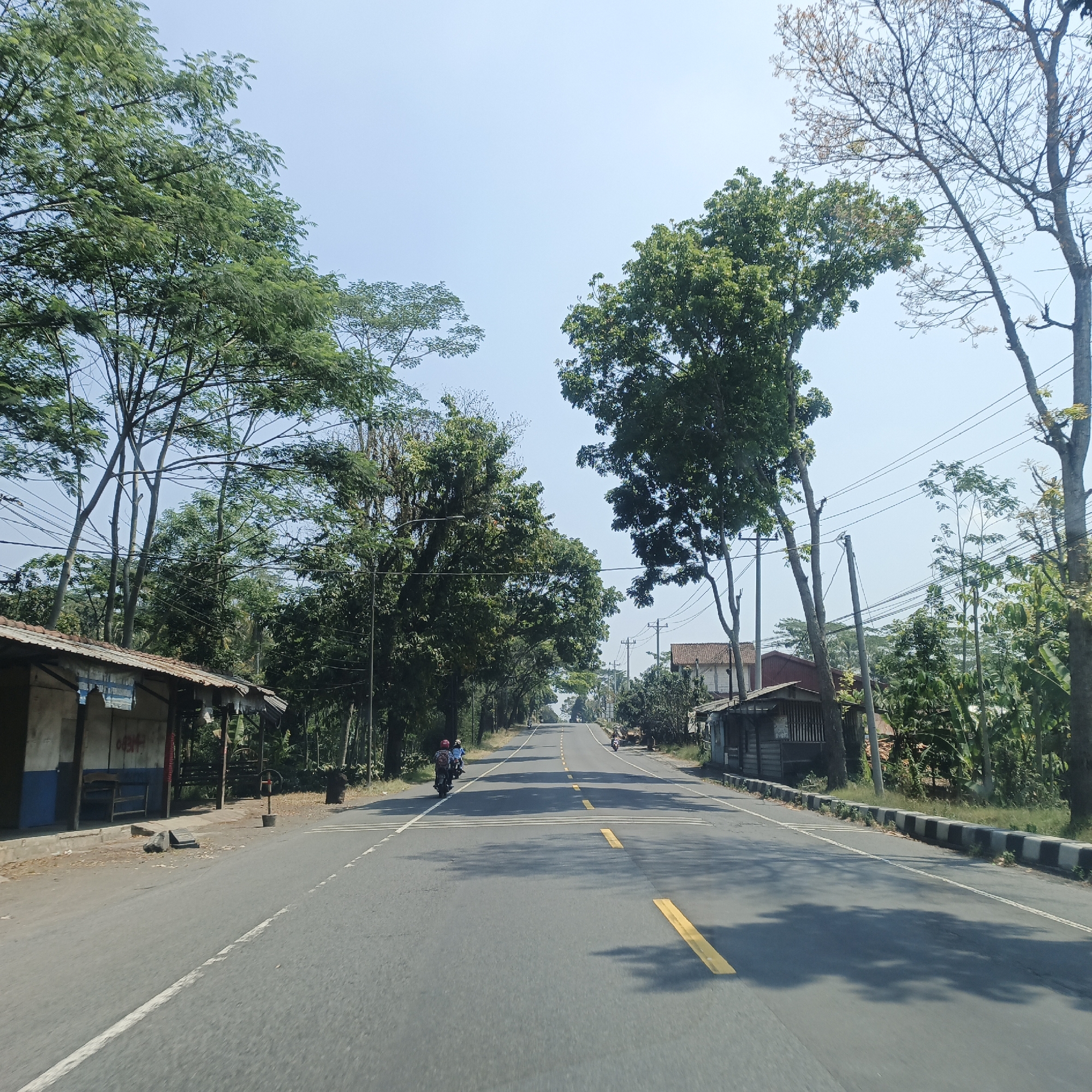 The image depicts a two-lane asphalt road with yellow dashed lines indicating the center division and white lines marking the edges. The road appears to be in a rural or semi-rural area, with lush green trees lining both sides. On the left side of the road, there is a small, simple structure that resembles a roadside stall or shop, with a weathered roof and blue and white painted walls. A few large rocks are visible on the ground in front of it. Further down the road, a motorcycle carrying two people is traveling in the same direction as the viewer.
On the right side of the road, another small, rustic building with a wooden facade is situated. A black and white striped curb separates the road from the grassy shoulder. In the distance, the road ascends a gentle slope, and more trees and buildings can be seen. Power lines are strung along poles on both sides of the road. The sky is clear and bright blue, suggesting a sunny day.
The image appears to have been taken from a moving vehicle, likely a car or motorcycle, given the perspective of the road and the slight motion blur. The overall impression is one of a tranquil, possibly tropical, roadside scene in a developing area. The location is identified as Pringsurat, Indonesia, which is likely a small town or village within Indonesia. The scene is characteristic of the Indonesian countryside, with its abundance of tropical vegetation, simple roadside structures, and prevalent use of motorcycles for transportation.