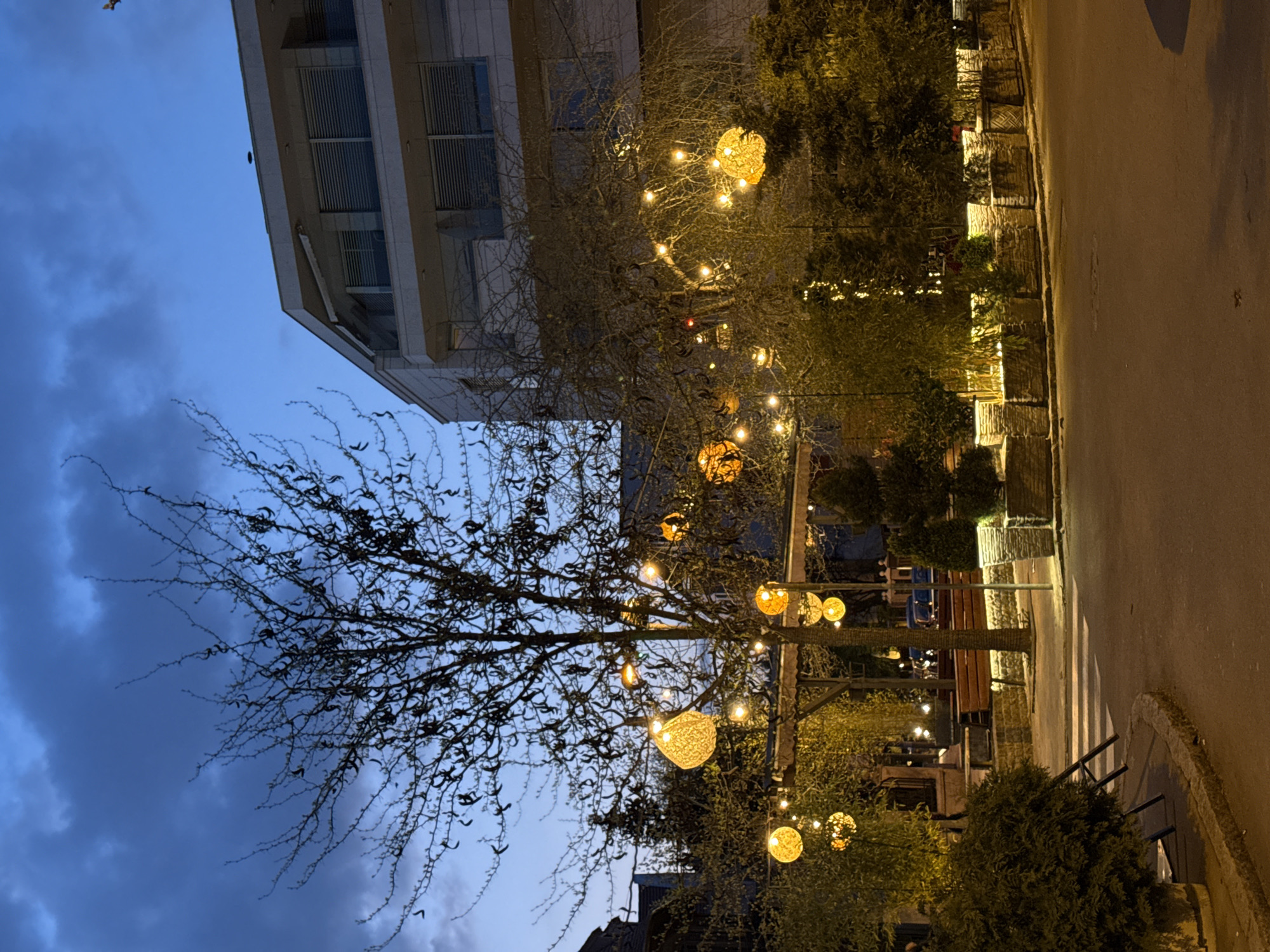 A sideways shot in Belgrade, Serbia at night, features a building, street, and trees. The sky is dark with clouds in the lower left. A multi-story building with windows is in the background. Trees, some adorned with decorative lights, line the street. A sidewalk is visible next to the street.