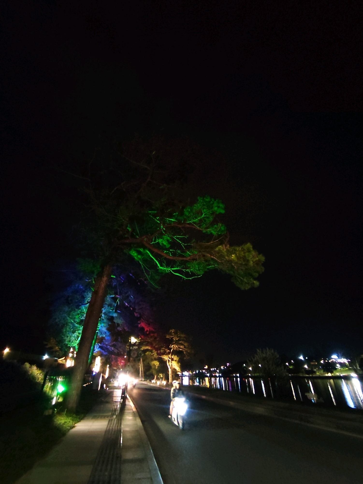 A nighttime scene captures a wide, paved road with a sidewalk to its left, bordering a body of water. The road is illuminated by streetlights and the headlights of a scooter, which is moving away from the camera on the right side of the road. A person is riding the scooter.
On the left side of the road, a tall tree stands beside the sidewalk, illuminated by vibrant green, blue, and red lights, casting colorful shadows. Further down the sidewalk, more lights are visible, and the area appears to be landscaped with greenery. Across the water, the city lights of Xuân Hương - Đà Lạt, Vietnam, twinkle, reflecting on the surface of the lake. The overall ambiance is that of a lively, illuminated urban waterfront at night.