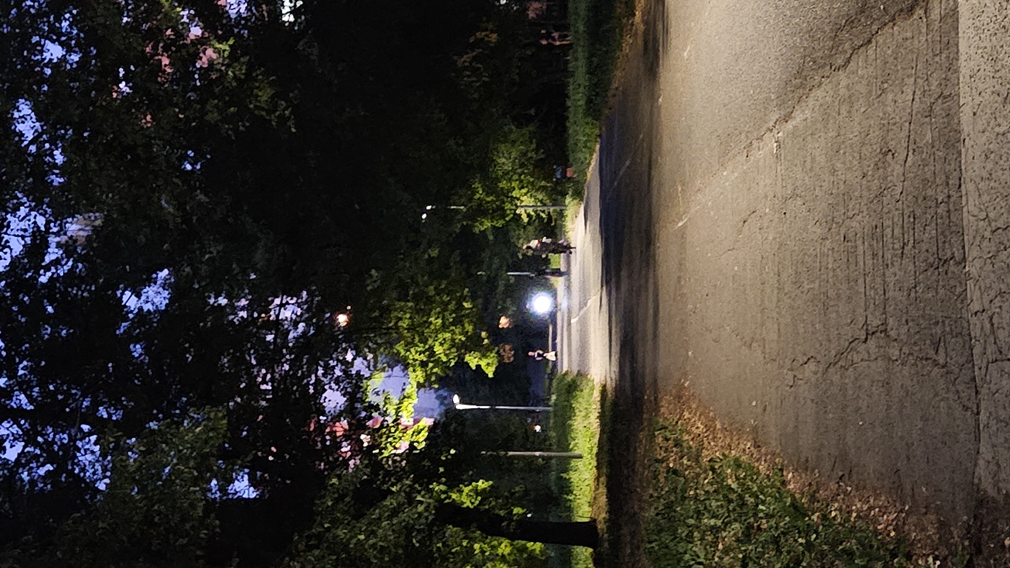 The image depicts a paved pathway in a park-like setting at dusk, with large trees lining both sides and casting shadows. The sky is a deep blue with hints of purple, suggesting twilight. Streetlights are visible along the path, some illuminating the trees with a green glow. In the distance, a bright light emanates from what appears to be a vehicle or a person with a powerful light source, illuminating the path ahead. Two figures on bicycles are also visible on the pathway, one closer to the bright light and the other further ahead. The pathway is cracked and shows signs of wear. This scene is consistent with the visual characteristics of the path leading through the park area in Prešov, Slovakia, near the areas with recreational facilities and public lighting.