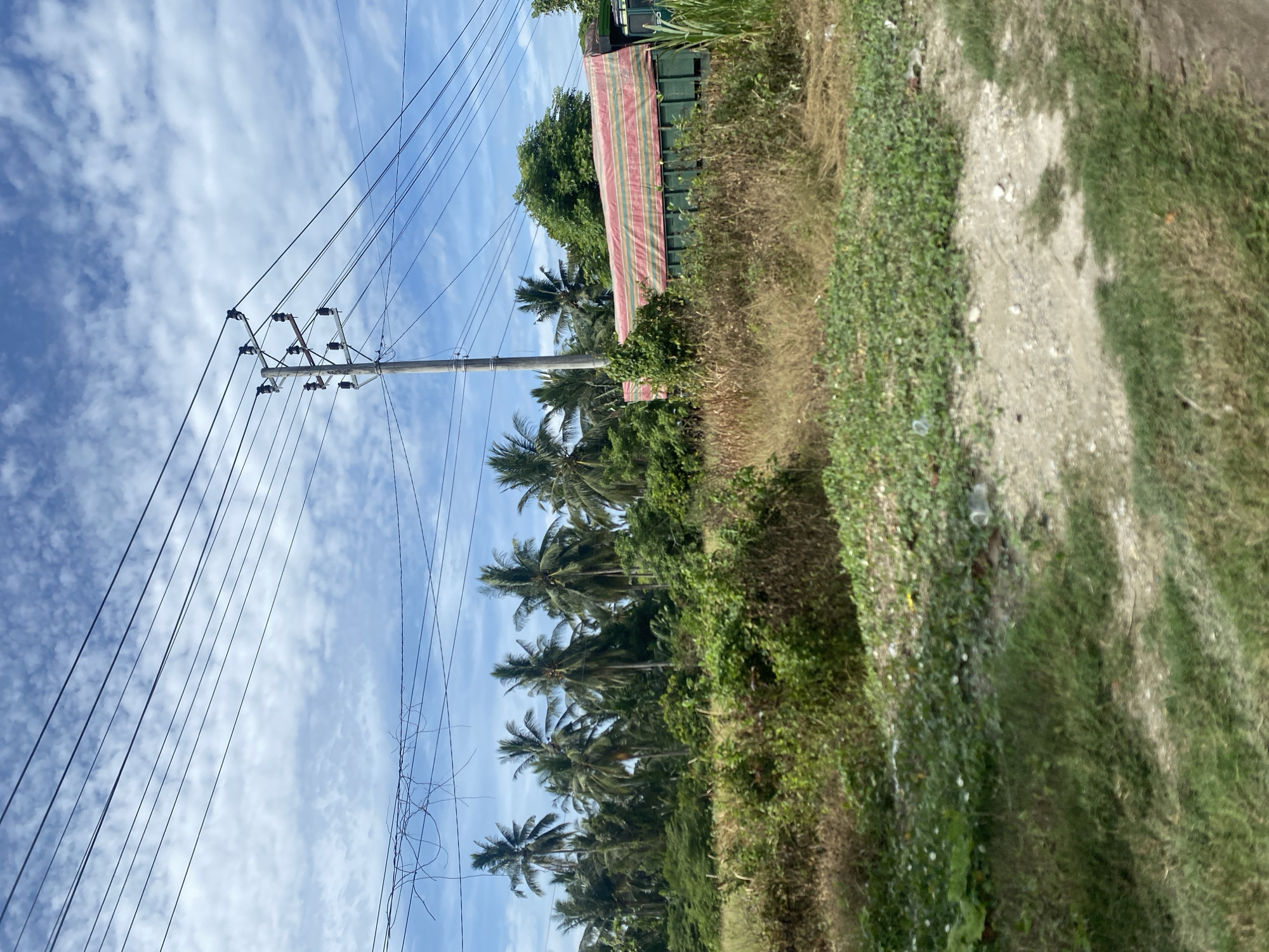 The image shows a street scene in Payadua, Indonesia. On the left, a utility pole with power lines extends upwards into a blue sky with scattered clouds. Palm trees line the roadside. To the right of the trees is overgrown vegetation. A green building with a striped awning is partially visible amidst the foliage. An unpaved pathway runs along the edge of the vegetation.