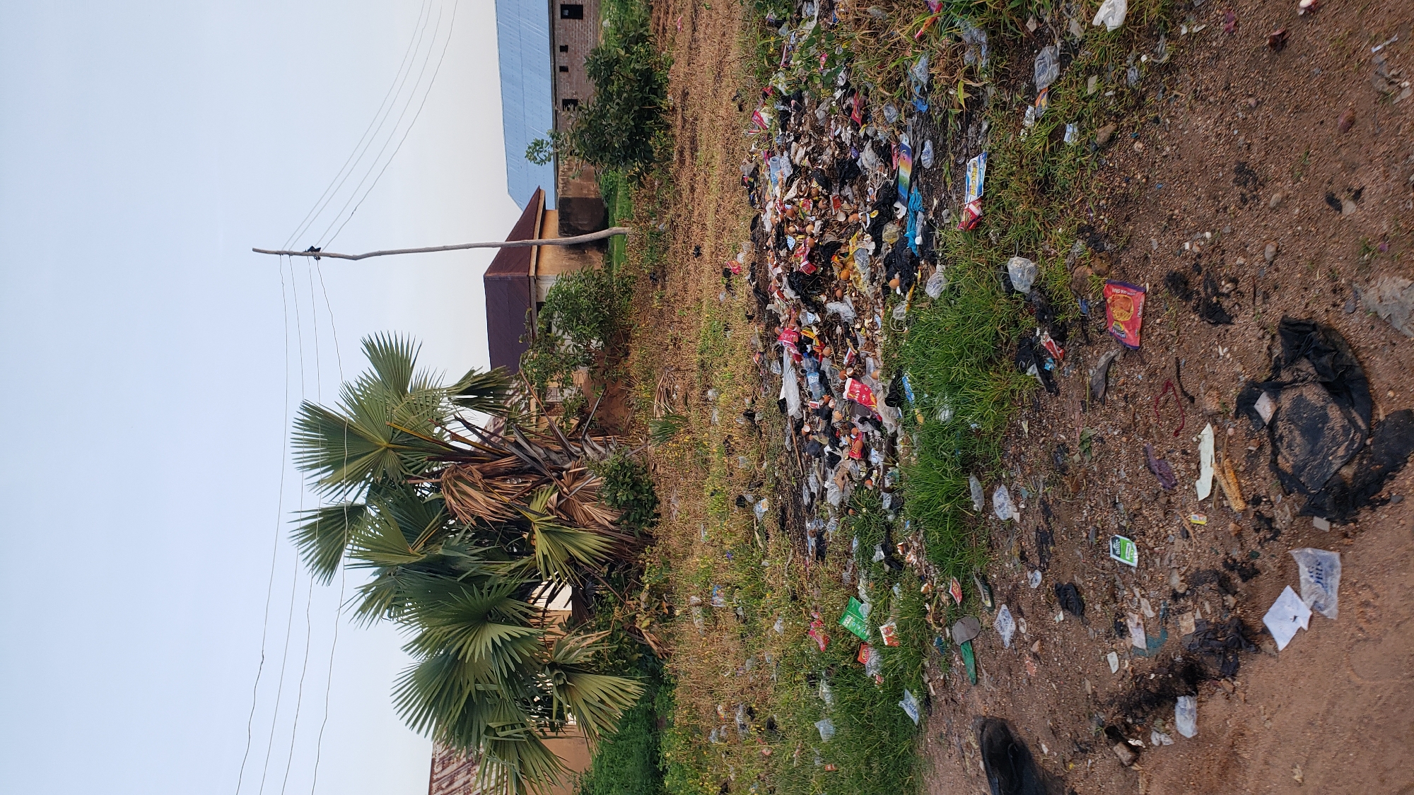 The image depicts an outdoor scene in Jauro Yinu, Nigeria, characterized by a large pile of garbage and scattered debris. The garbage pile is concentrated in the foreground and midground, consisting of various types of waste, including plastic bags, wrappers, bottles, and organic materials. The surrounding ground is covered with dry grass and dirt, with some green vegetation growing interspersed.
In the background, there are several buildings with different roof types, including a brown-tiled roof and a blue-tiled roof. A utility pole with power lines runs across the sky. A palm tree with large, fan-shaped leaves stands prominently to the left of the garbage pile. The sky is clear and pale blue, suggesting it might be early morning or late afternoon. No people are visible in the image. The overall impression is one of an unkempt area with significant litter.