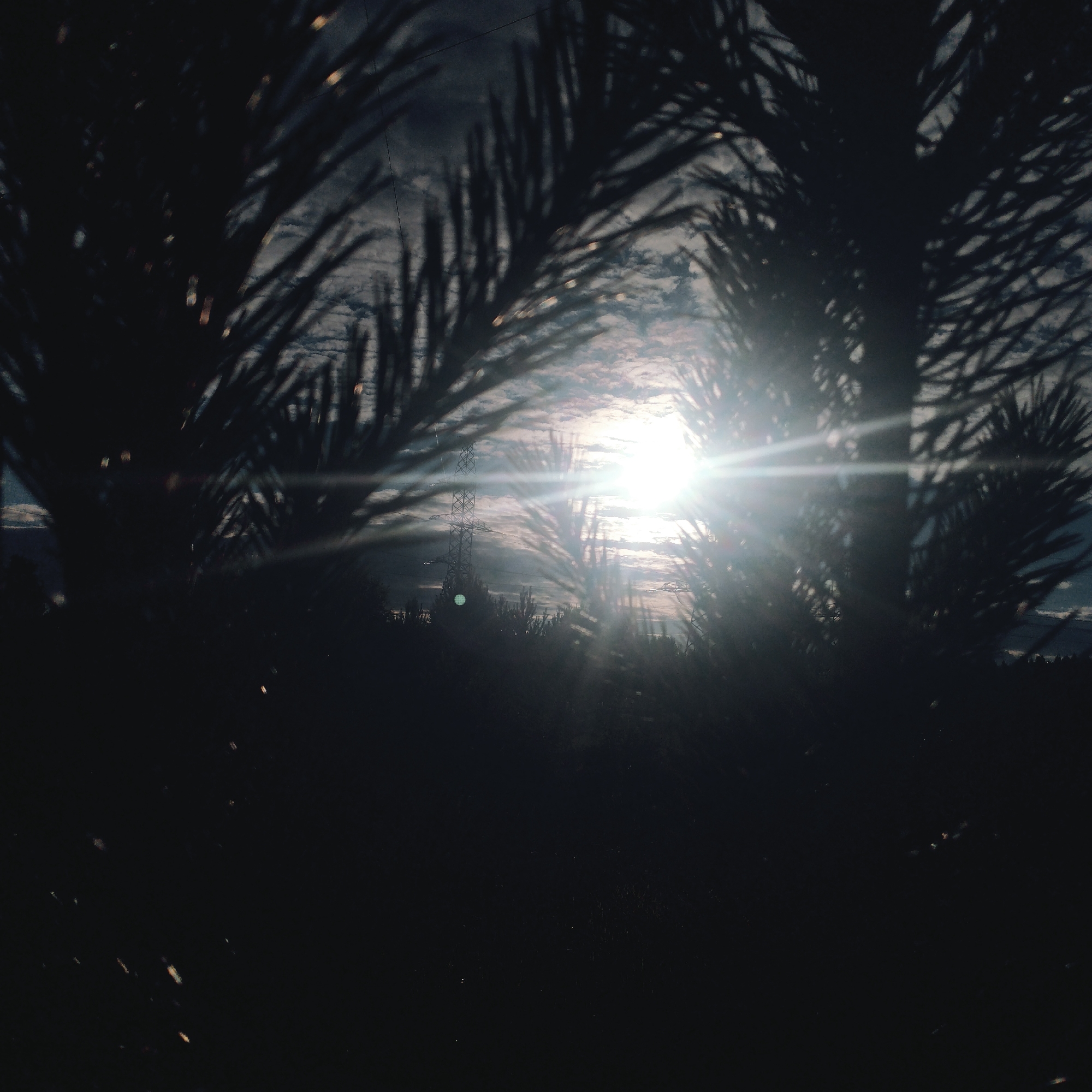 A bright sun, with visible lens flare, is set behind the silhouetted fronds of palm trees. In the background, a tall, lattice-style electricity pylon is visible, along with a line of smaller trees or shrubs. The sky is cloudy, with wispy clouds illuminated by the sun. The overall scene appears to be outdoors, possibly in a park or natural setting, with man-made structures present in the distance. The specific location is not identifiable from the visual information provided.