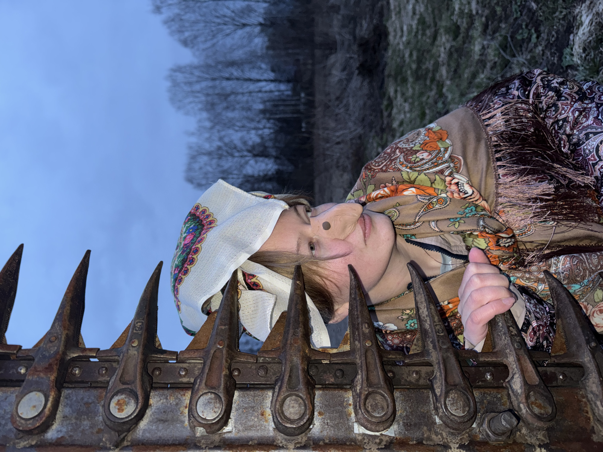 The image displays a woman from a low-angle perspective, oriented horizontally across the frame. She is wearing a white headscarf adorned with vibrant floral and paisley patterns, along with a brown patterned shawl featuring a fringed edge. A light-toned prosthetic nose with a dark dot is attached to her own nose, lending a distinctive character to her appearance. Her eyes are directed towards the viewer, conveying a neutral to slightly contemplative expression.
The foreground is dominated by a rusty, heavy-duty metal cutter bar, likely from an agricultural machine such as a combine harvester. Its numerous sharp, pointed guards are clearly visible, exhibiting significant wear and corrosion. The woman's right hand is gripping one of these metal guards.
In the background, to the left of the woman in the horizontally oriented shot, lies a pale blue sky, suggesting either an overcast day or twilight conditions. Silhouettes of bare trees stand along the horizon against the sky, indicating a cool season such as late autumn or winter. To the right of the woman, a patch of dry, sparse vegetation and muted ground is visible, reinforcing the rural or agricultural context. The overall lighting is soft and subdued. The location context for this scene is Вассята, Russia. There is no discernible text visible within the image.