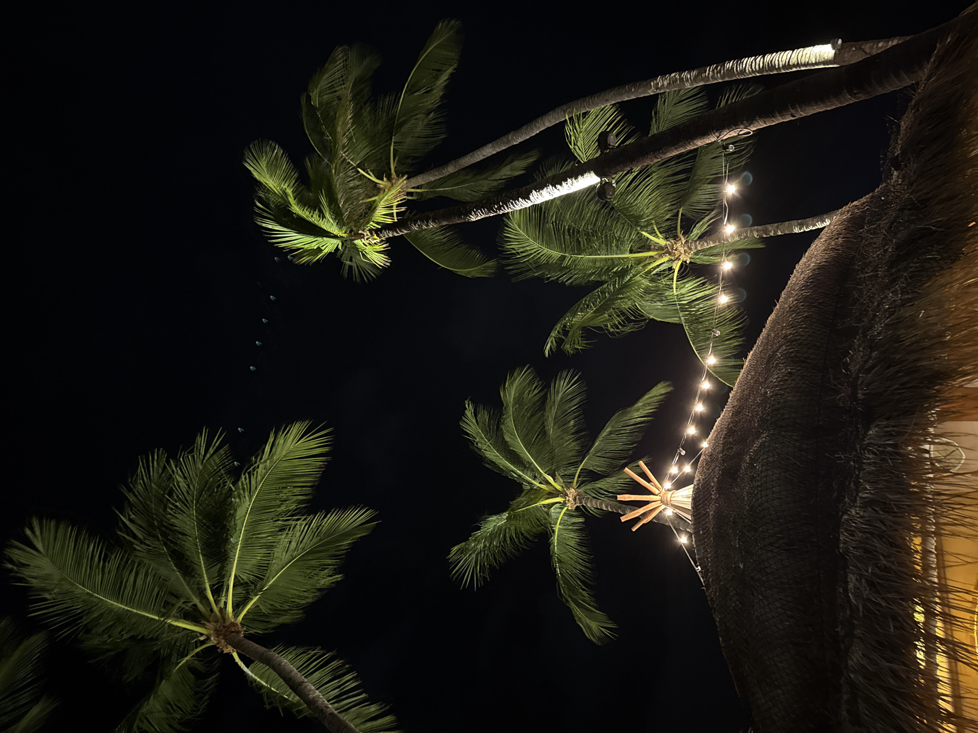 The image depicts a nighttime scene in Baan Bo Phut, Thailand, featuring several palm trees against a dark sky. The palm fronds are illuminated from below, casting a green glow. In the foreground, a thatched roof structure is visible, topped with a teepee-like decoration made of wooden poles. A string of fairy lights is draped across the roofline and extends behind some of the palm trees. The overall atmosphere is tropical and festive.