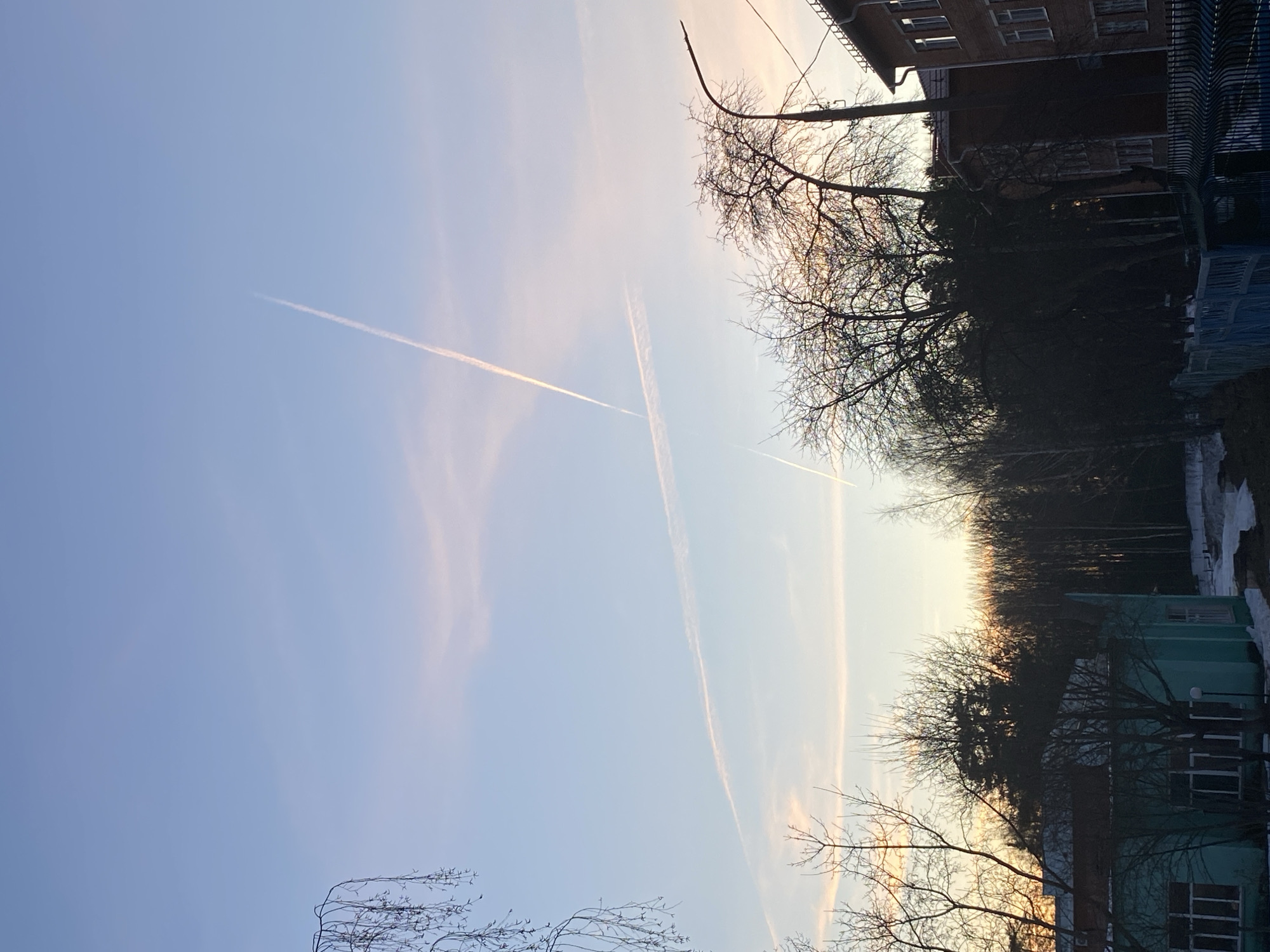 The image captures a sky with two contrails intersecting in the upper-left quadrant. The sky is pale blue, with hints of orange near the horizon. The lower portion of the image shows a landscape featuring bare trees, buildings with brick and blue/green facades, and patches of snow on the ground. The scene appears to be in a residential area of Noviy, Russia, though specific street or landmark details are not identifiable. There are no people visible in the photograph.