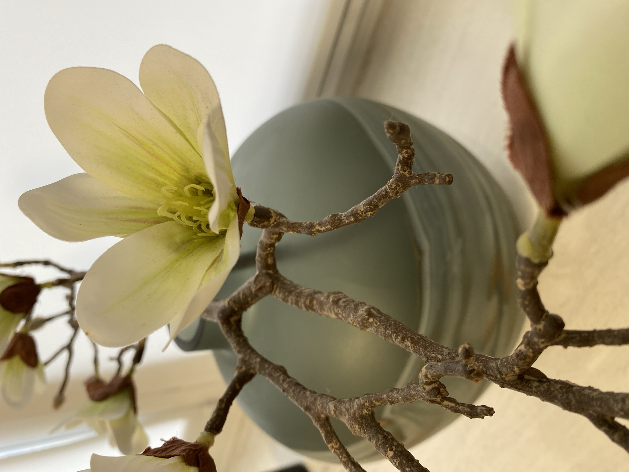 A close-up, low-angle shot focuses on an artificial magnolia branch placed in a light bluish-gray vase. The main flower on the left is fully open, revealing light yellow petals tinged with green at the center. Other buds and flowers, some still enclosed in their brown sheaths, are visible on the branch. The brown, textured branches are in sharp focus, contrasting with the smooth, out-of-focus vase in the background. The background includes a cream-colored wall and a glimpse of a curtain or window. The image seems to be taken indoors, likely in a home setting. There is no information given that indicates a location in Votkinsk, Russia. No people are present.