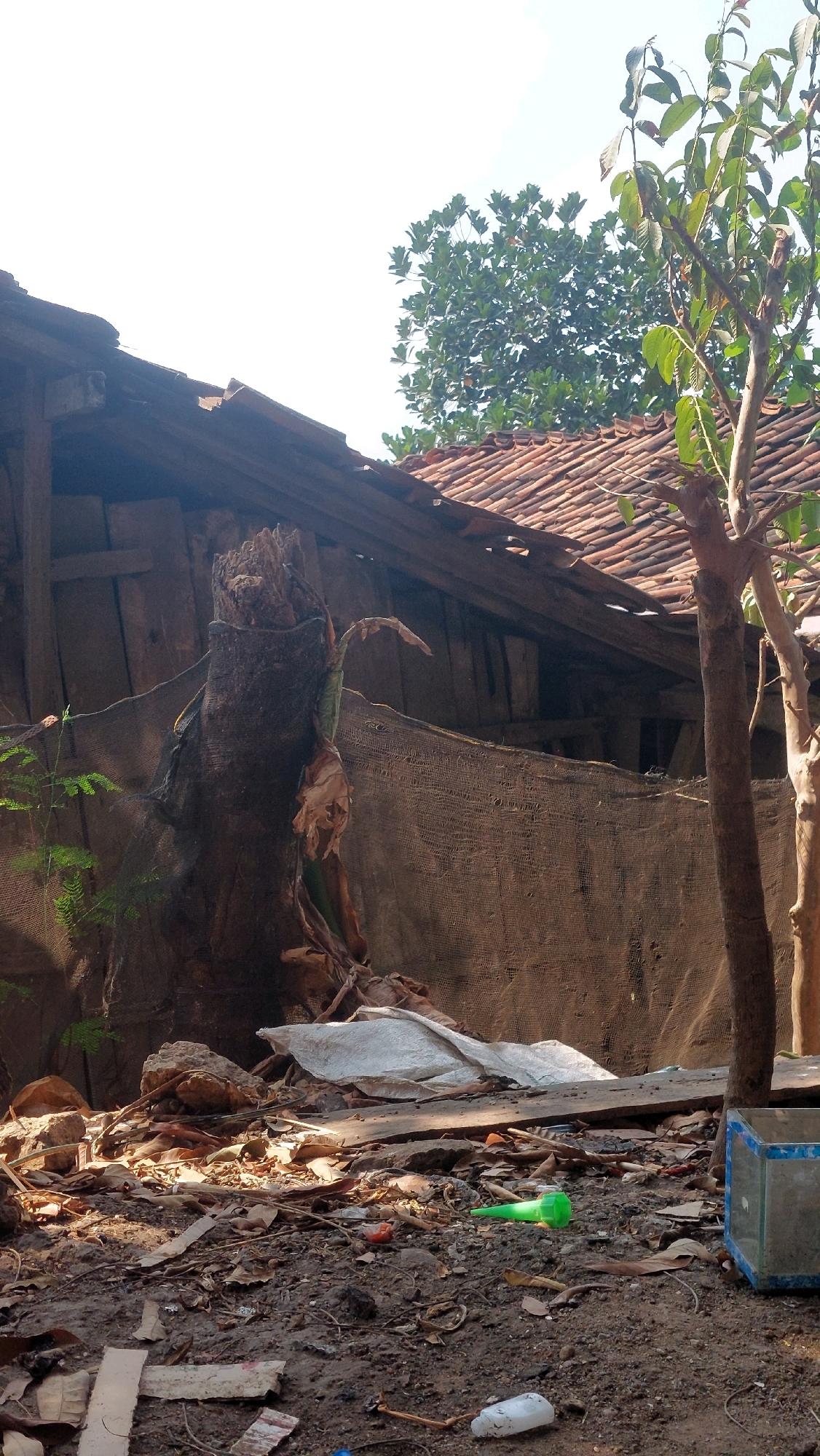 The image depicts an outdoor scene in Karanganyar, Indonesia, characterized by disarray and decay. A dilapidated wooden structure with a tiled roof, showing signs of disrepair, is prominently featured. In the foreground, the ground is covered with debris, including leaves, dirt, scattered pieces of wood, and various discarded items such as a white plastic bag, a green plastic bottle, a small red object, and a small glass aquarium with blue trim. A large, decaying tree trunk wrapped in dark netting stands near the structure, with dried leaves and vegetation attached to it. Trees with green foliage are visible in the background, some partially obscuring a bright sky. The overall impression is one of neglect and abandonment.