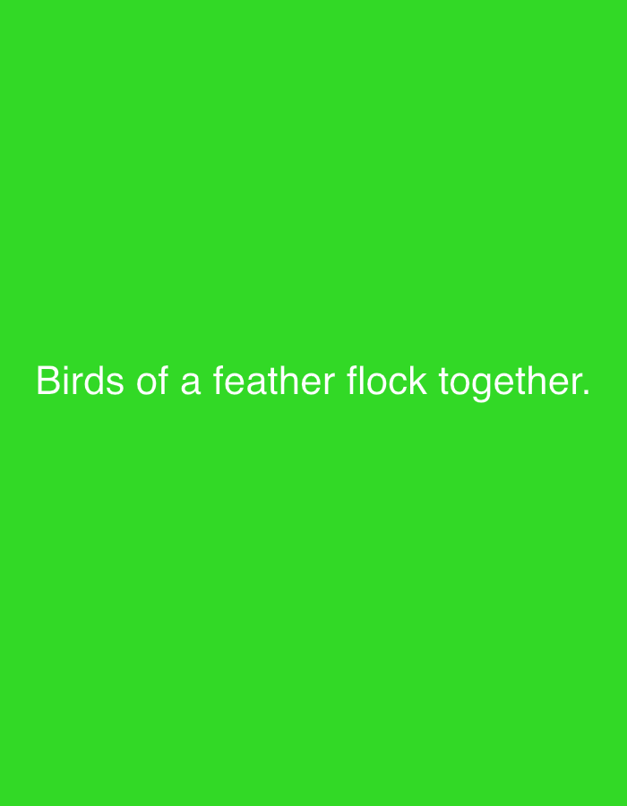 The image is a bright green background with white text that reads "Birds of a feather flock together." The text is centered horizontally and located in the lower third of the image. There is no discernible location in Smyadovo, Bulgaria, or any other specific environmental details present in the image.
