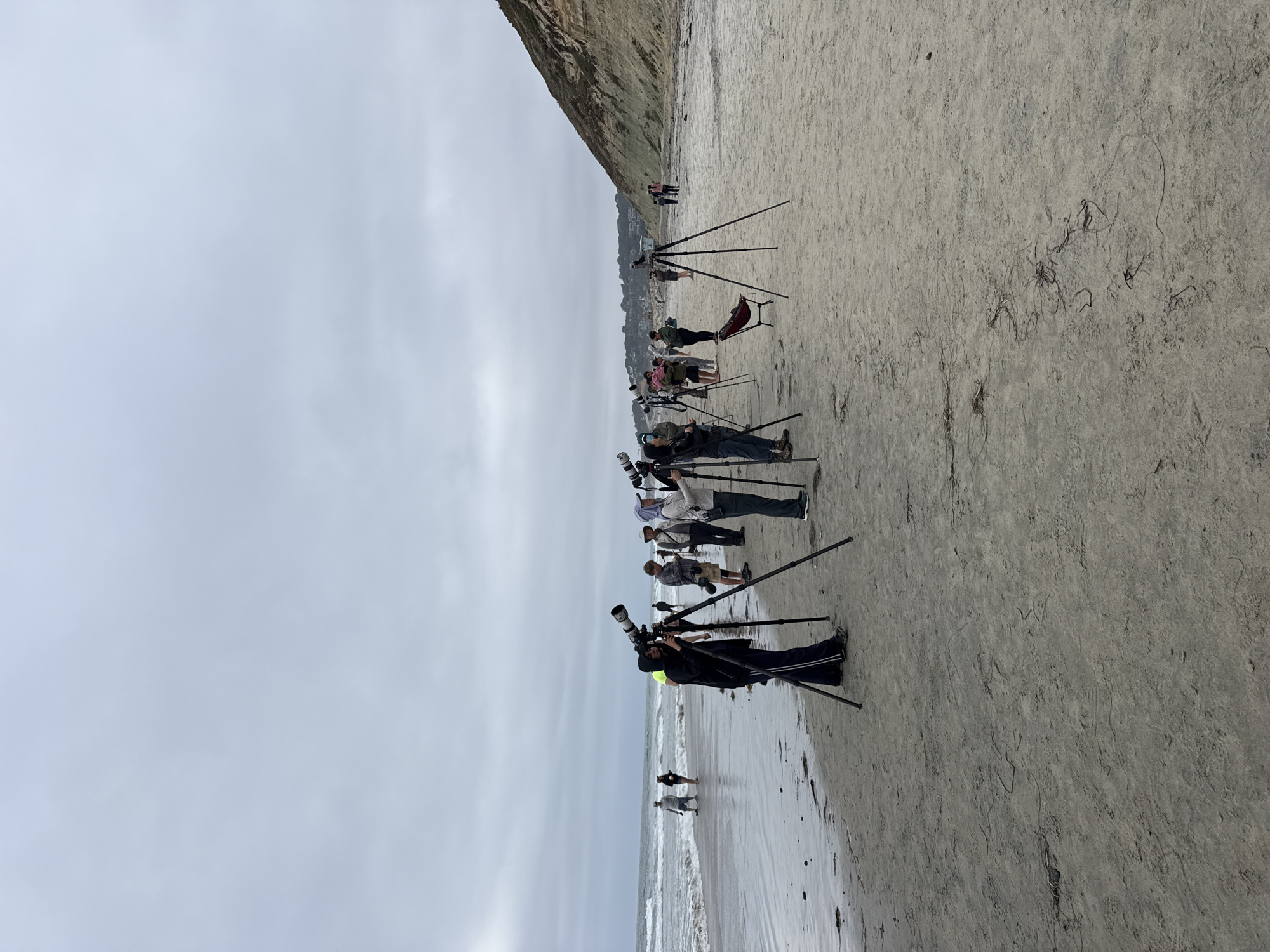 The image shows a group of people with cameras and tripods on a beach. The location appears to be near a cliffside. The sky is overcast. The scene depicts multiple individuals lined up, presumably taking pictures or filming towards the ocean. Based on the visual details, this scene is likely on a beach in the city of San Diego, United States of America. There is a mixture of individuals with black clothing.