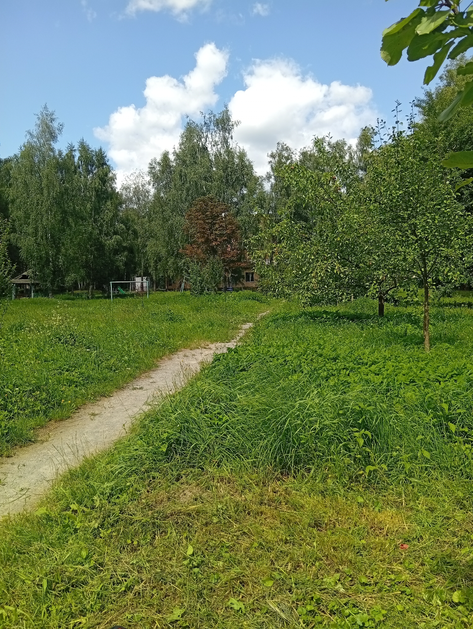 The image depicts a dirt path winding through a grassy field on a sunny day. Tall green trees form a dense backdrop. In the distance, a white soccer goal and a green slide are visible, suggesting a recreational area or park. The sky is blue with scattered white clouds. The scene appears to be an outdoor setting in a park or possibly the grounds of an institution in Zviahel, Ukraine, given the context. There are no people or animals visible in the image.