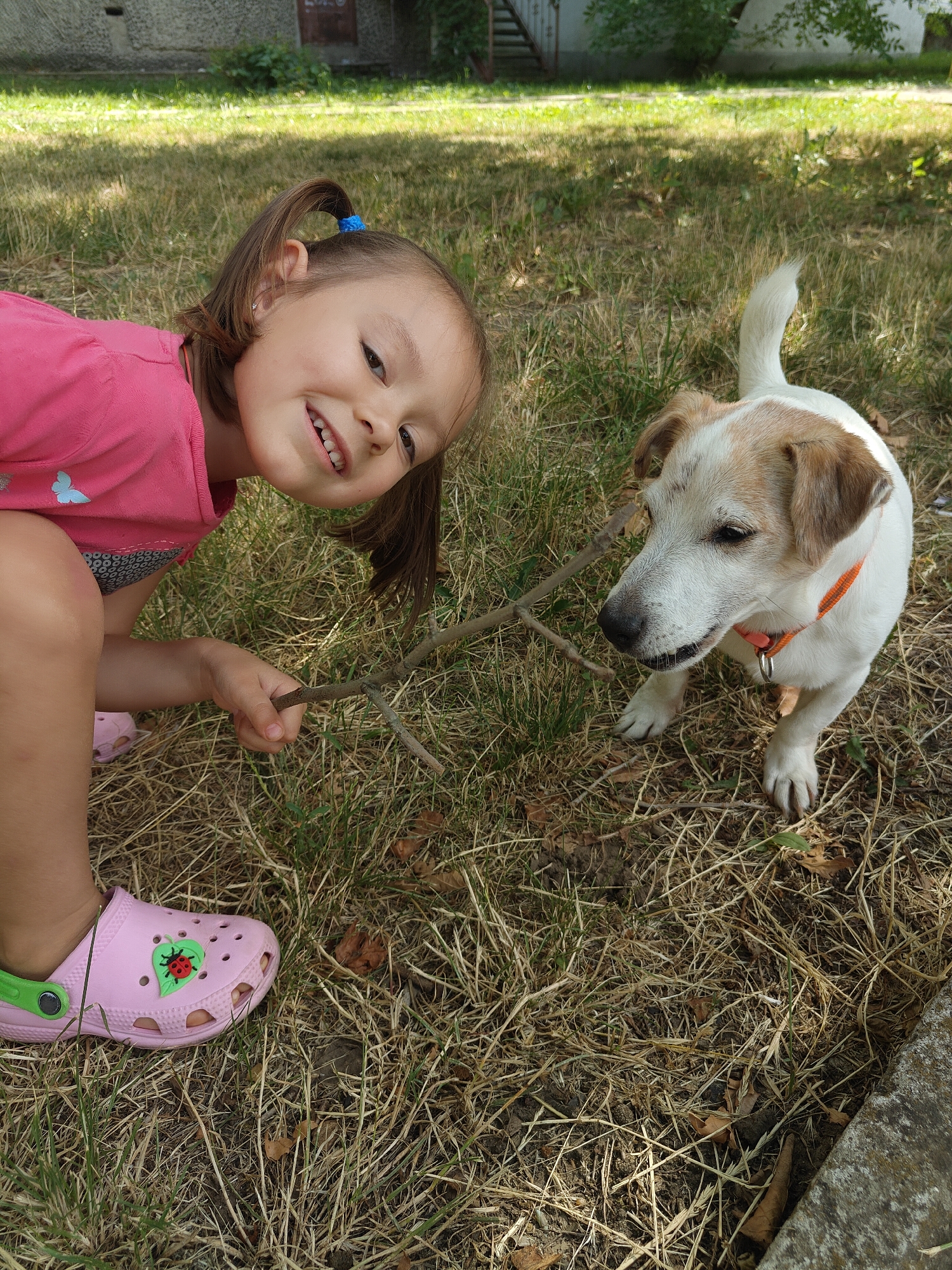 The image depicts a young girl with brown hair in ponytails and a pink t-shirt, smiling at the camera while holding a stick. She is wearing pink Crocs with a ladybug embellishment. Beside her is a white and tan Jack Russell Terrier with an orange collar, looking at the stick. They are on a grassy area with dry grass, suggesting a warm, possibly summer day. In the background, there is a building with a grey facade and some greenery. The scene appears to be in a yard or park. There is no visual information to definitively place the location in Chornomorsk, Ukraine.