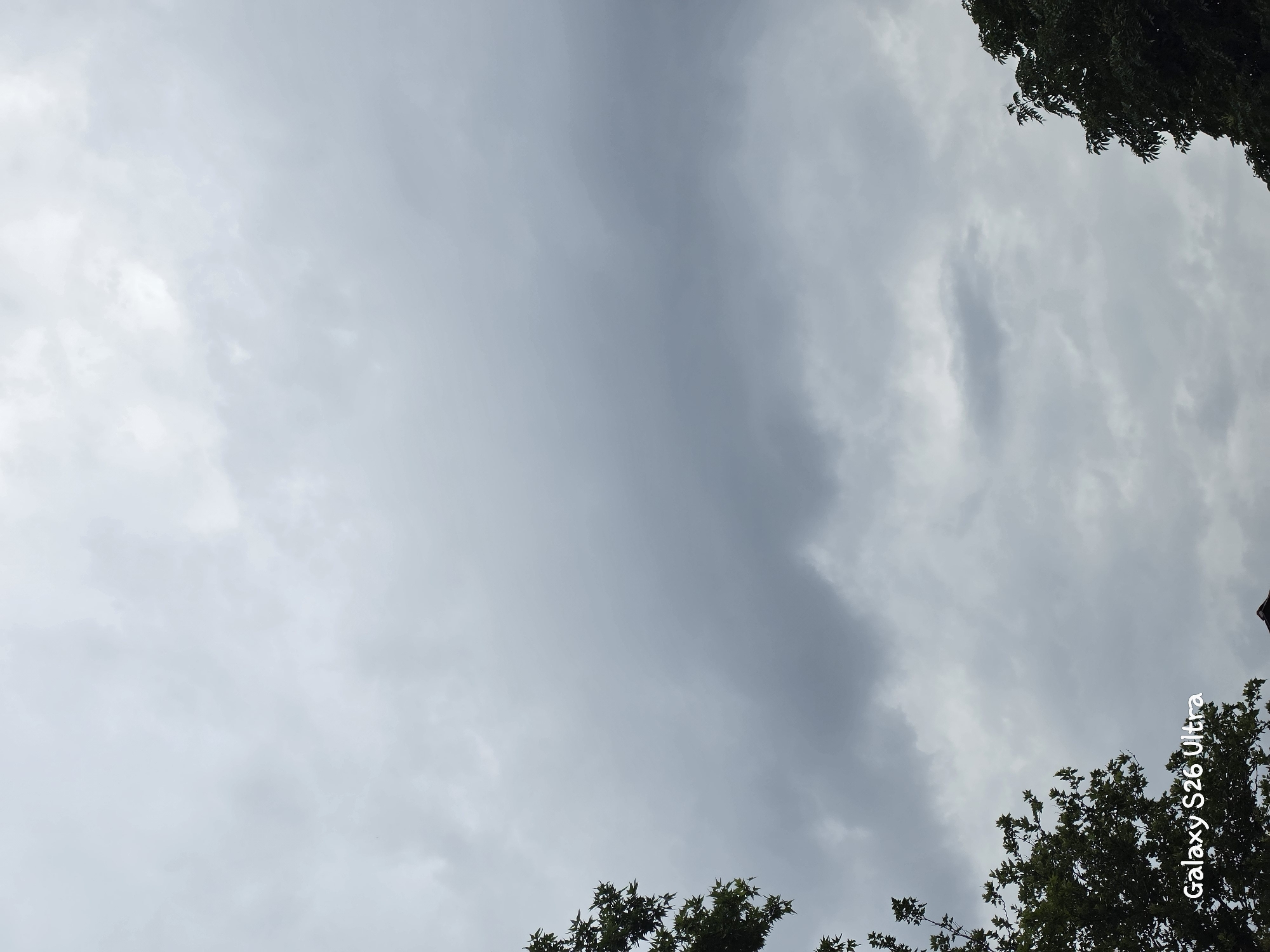 This is a medium shot, low-angle photograph of a cloudy sky with trees visible in the upper right and lower left corners of the frame. The sky is overcast with varying shades of gray, suggesting it is either dawn, dusk, or a heavily clouded day. The clouds are textured, with some areas appearing brighter and more diffuse, while others are darker and more defined, creating a sense of depth.
The trees are dark green, with dense foliage, and appear to be in the foreground, framing the sky. The leaves are detailed, and some branches are visible extending into the sky. The lighting is soft and diffused, consistent with an overcast sky.
There is text in the lower right corner of the image that reads "Galaxy S26 Ultra" in a white, stylized font. This appears to be a watermark added by the device used to capture the image.
The image evokes a sense of calm and perhaps slight melancholy due to the overcast weather. The low-angle perspective makes the sky feel vast and encompassing. The context of Plovdiv, Bulgaria, suggests an outdoor setting, likely in a park or a natural area within the city, during a time when the weather is not permitting clear skies. No people or specific objects other than the trees and sky are discernible.