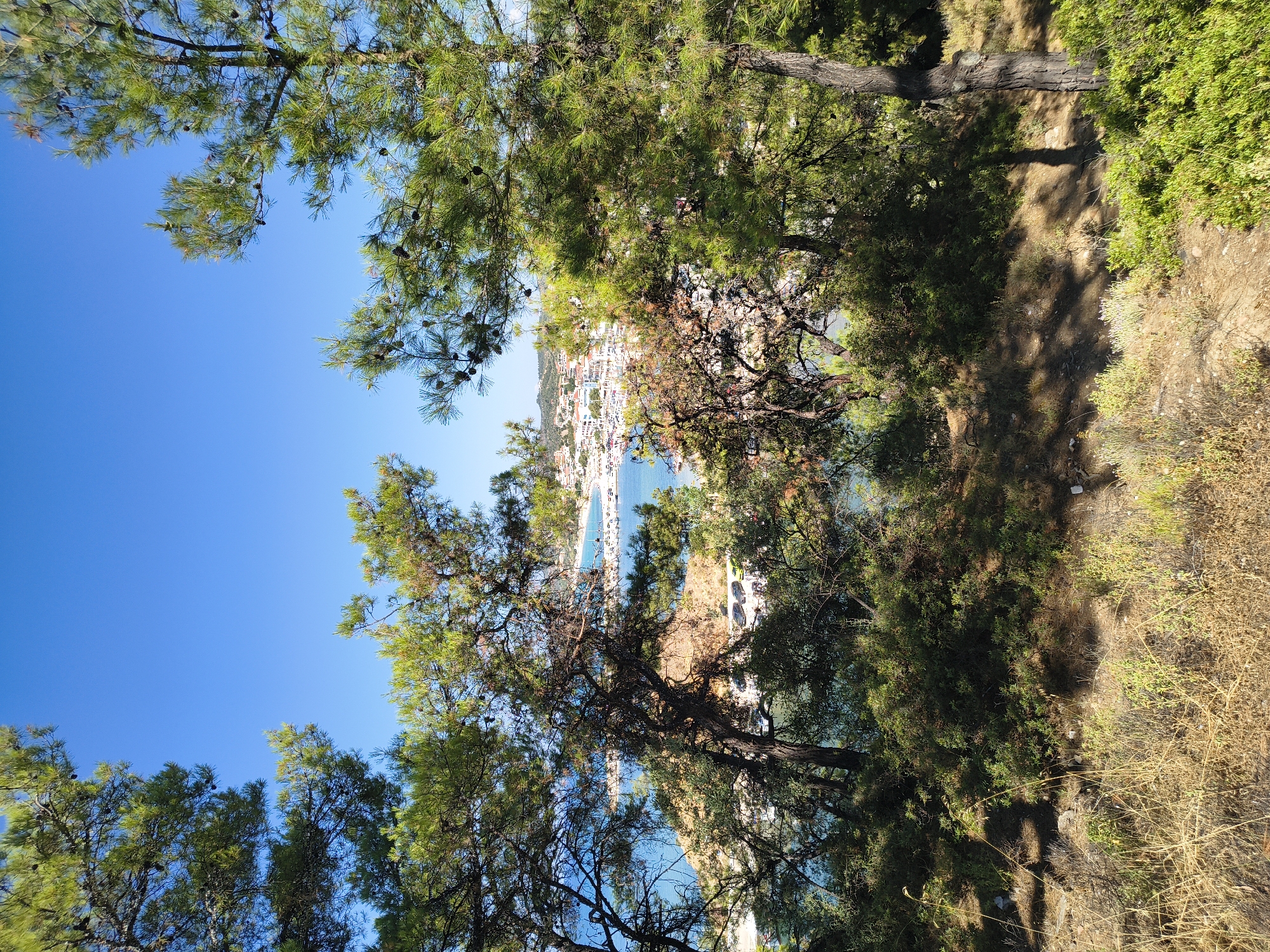The image displays a scenic view of the town of Limenaria, Greece, seen through the branches of pine trees. In the foreground, dry, yellowed grasses and green bushes cover a sloping, sandy terrain with some shadows cast from the trees. The middle ground reveals a densely vegetated hillside with more pine trees and shrubs, interspersed with glimpses of the blue sea and a harbor filled with numerous boats. In the background, the white buildings of Limenaria stretch along the coastline, with more boats anchored in the bay. The sky above is a clear, bright blue.