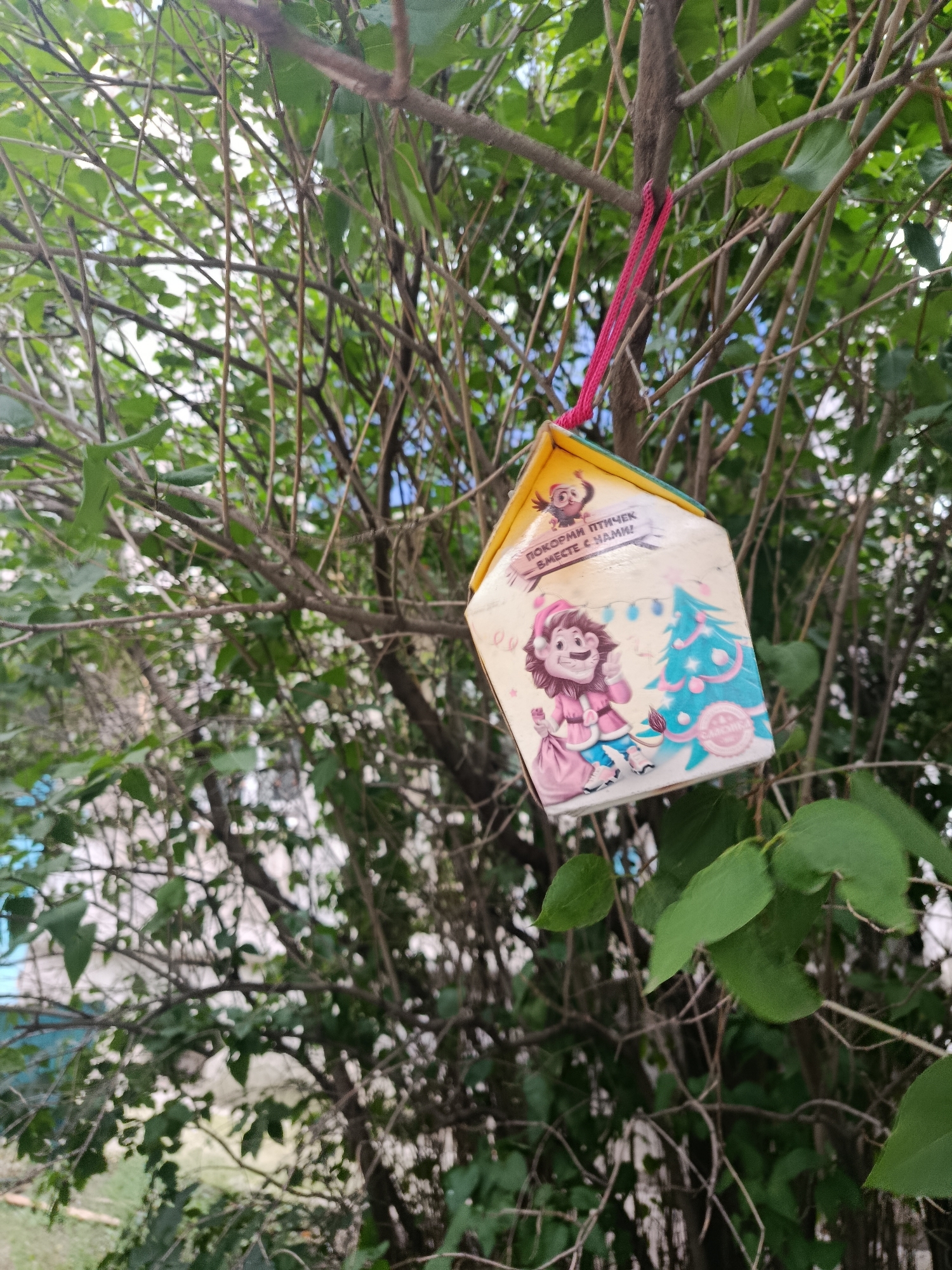 A cardboard bird feeder, designed to resemble a house, hangs from a tree branch in Syzran, Russia. The feeder is decorated with images of a cartoon lion in a pink coat, a Christmas tree, and a banner with Russian text. A pink string is used to suspend the feeder. The surrounding environment consists of lush green foliage and tree branches.