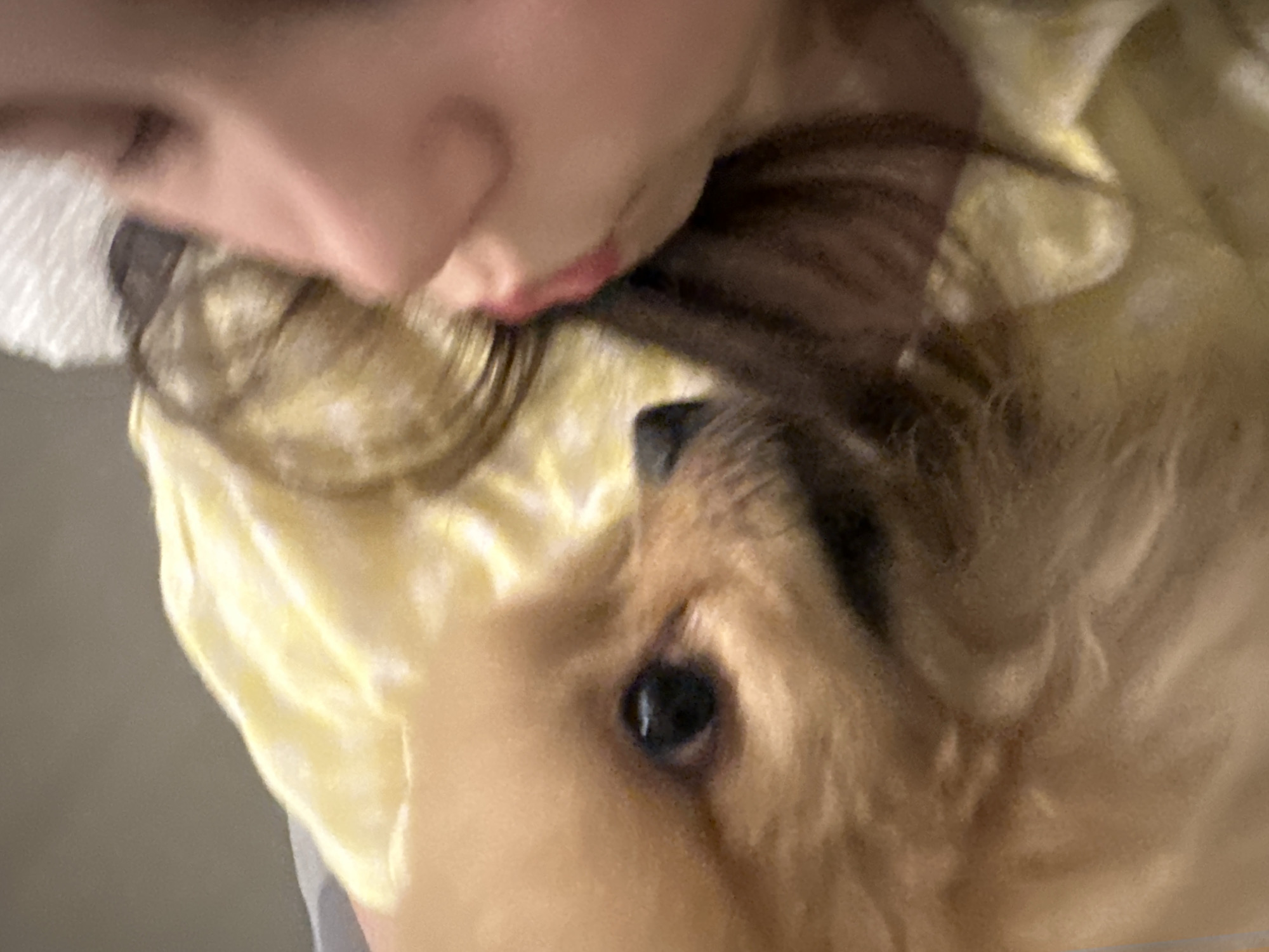 A close-up photograph, presented at an oblique angle, shows a person and a dog in apparent close proximity. The person's face is partially visible, with lips and nose discernible. Brown hair is intermingled with the dog's fur. The dog, a light-brown canine, is positioned with its eye clearly visible. A yellow fabric is also present in the frame, draped behind the subject and dog. The location cannot be determined from this image.