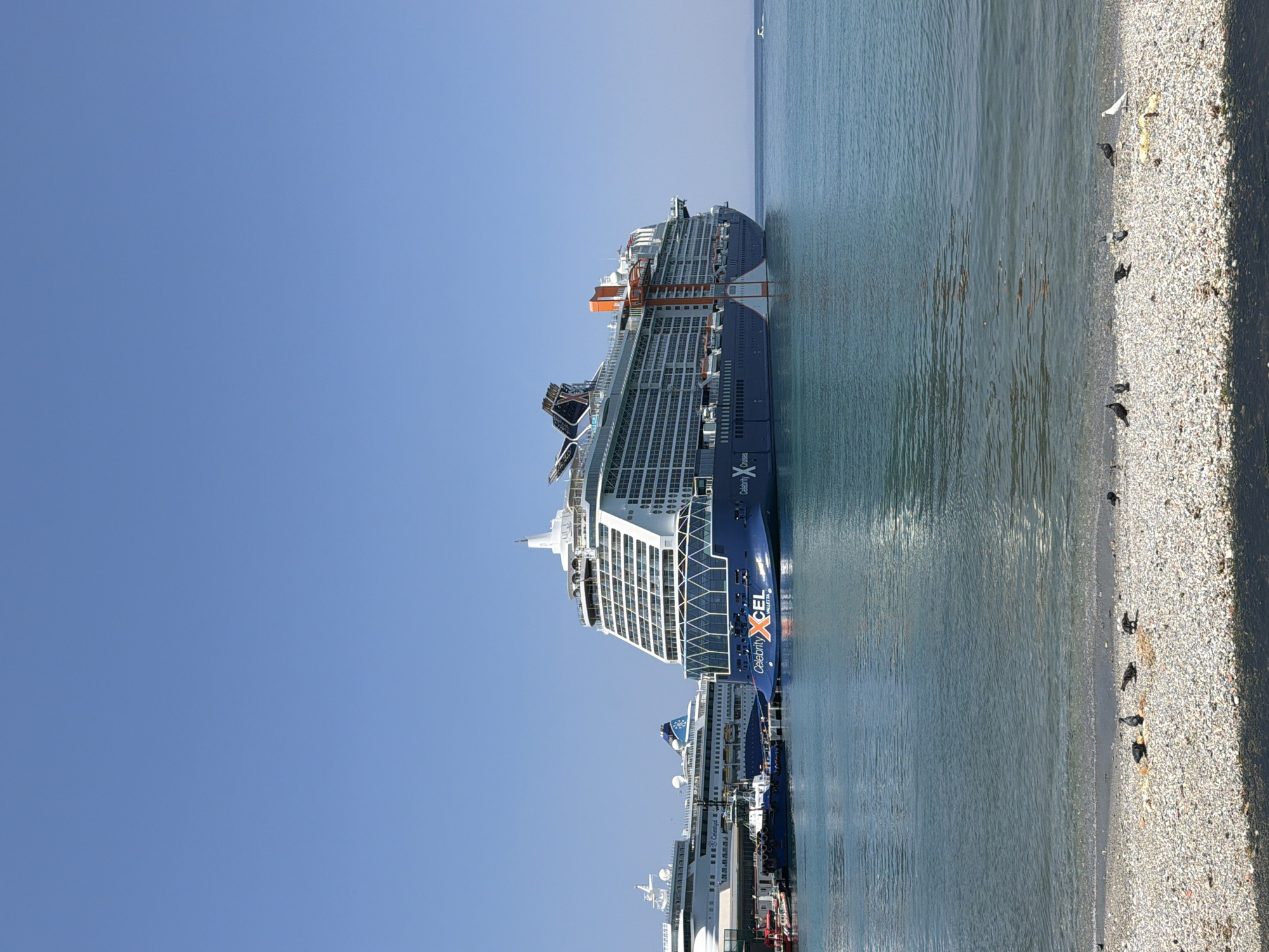 The image depicts a sunny day at a port in Kuşadası, Turkey, with a clear blue sky and calm sea. Dominating the scene is the large, modern cruise ship "Celebrity Xcel," docked and prominently displaying its name. To its left, another, smaller cruise ship is partially visible, along with a tugboat positioned between the two vessels. The foreground shows a pebble beach with several pigeons foraging on scattered food. The overall atmosphere is tranquil and suggests a typical day at a busy tourist port.