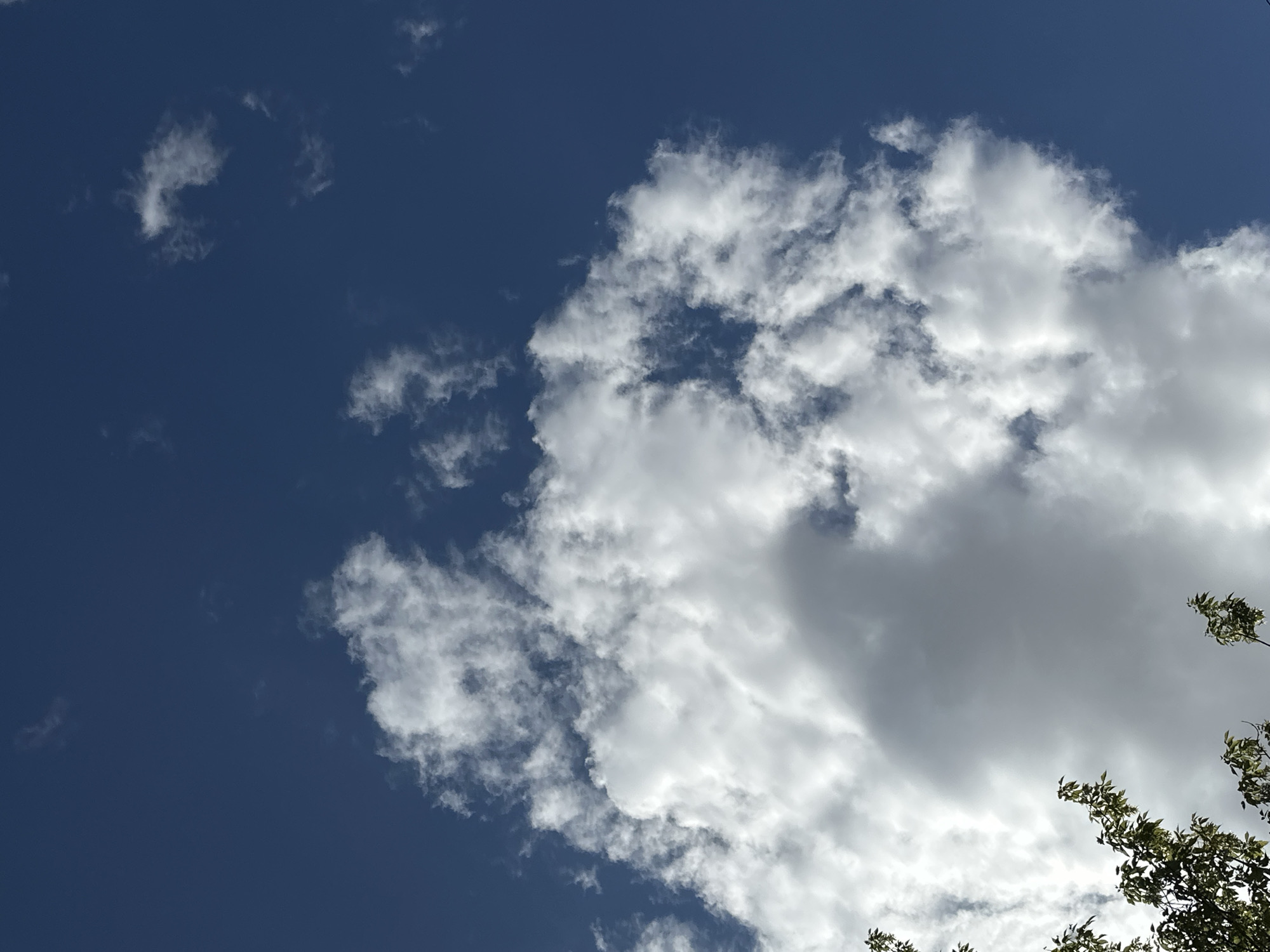 This is a vertical, upward-facing photograph of a bright blue sky with scattered white and grey clouds. In the lower left corner, the tops of green leafy branches of a tree are visible, extending into the frame. The clouds are textured and varied, with some appearing wispy and translucent, while others are dense and billowy. A large, dark grey cloud formation dominates the center and lower portion of the image, obscuring parts of the sky. There are no people or identifiable man-made structures in the image. The photograph appears to have been taken outdoors on a partly cloudy day. The image does not contain enough information to determine its specific location in Luhansk, Ukraine.