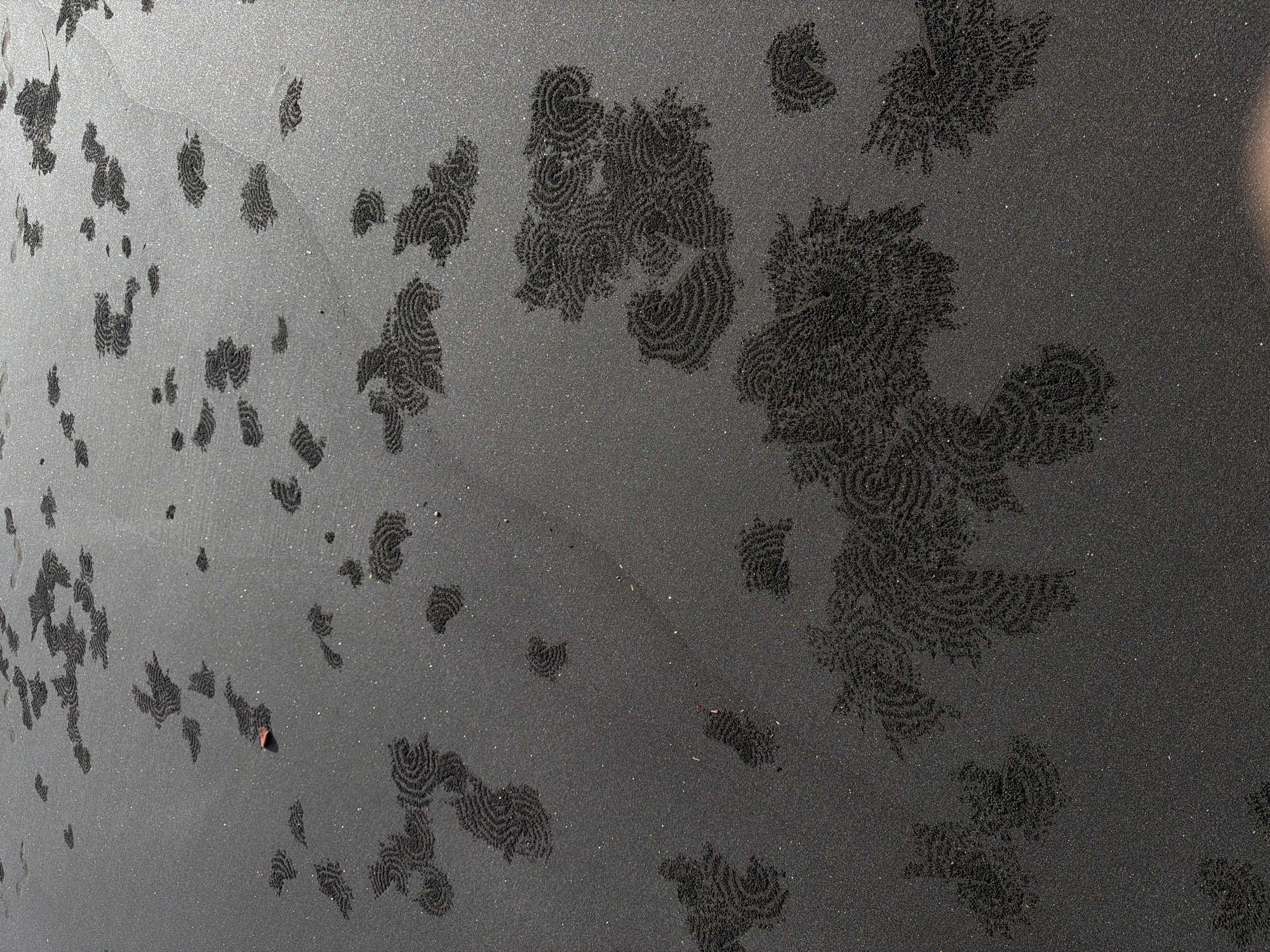 The image depicts a dark sand beach in Selemadeg Timur, Indonesia. The sand is decorated with numerous intricate patterns created by sand bubbler crabs. These patterns consist of small, concentric circles and fan-like shapes made from sand pellets. There are no people visible in the scene.