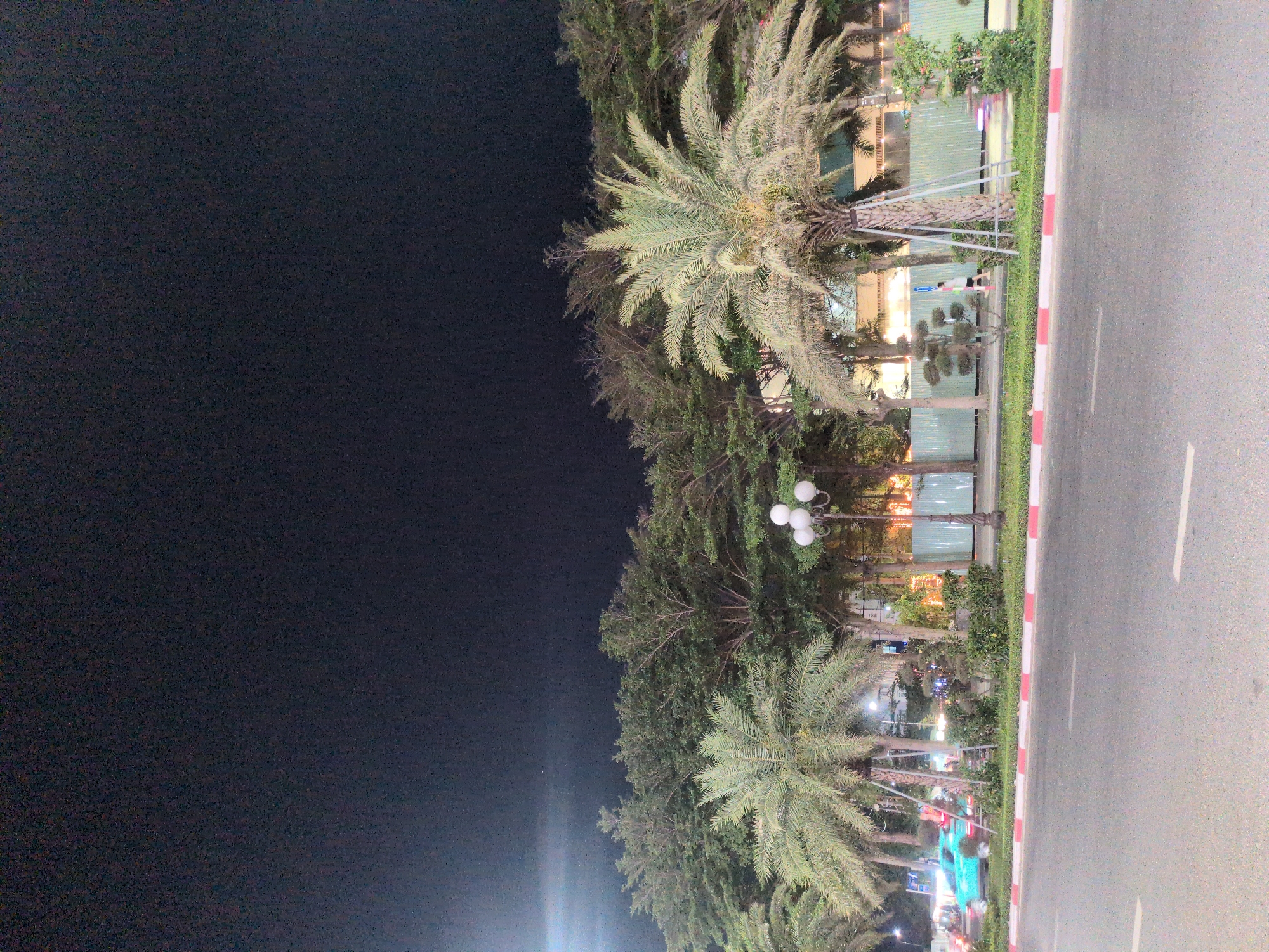 The image, taken at night in Tuy Hòa, Vietnam, shows a view alongside a road. The left side of the frame is dominated by the night sky. Along the roadside are palm trees and other greenery, illuminated by streetlights. Buildings are visible further back, with their lights adding to the ambiance. A road with red and white painted edges runs along the right side of the image. A car is also visible.