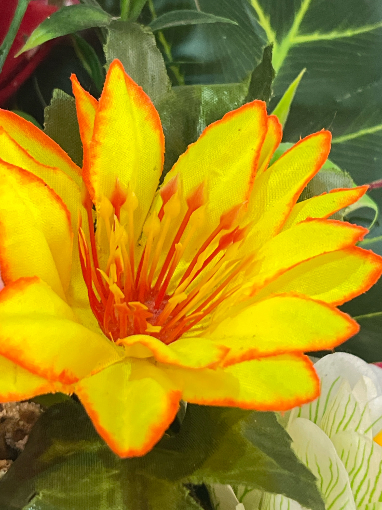 The image displays a close-up, eye-level view of a vibrant artificial flower. The flower is predominantly yellow with orange-red accents around the edges of its petals and in its stamen. The petals are broad and somewhat pointed, with a textured surface. The stamen, located in the center of the flower, consists of numerous thin, reddish-orange filaments tipped with yellow. Behind the prominent flower, dark green artificial leaves are visible, providing a contrasting backdrop. To the right and slightly below, a portion of another artificial flower, white with green stripes, is partially visible. The lighting is bright, highlighting the colors and textures of the artificial flora. The setting appears to be indoors or a sheltered outdoor area, given the arrangement of artificial plants. There is no indication of the specific location within Denpasar, Indonesia.