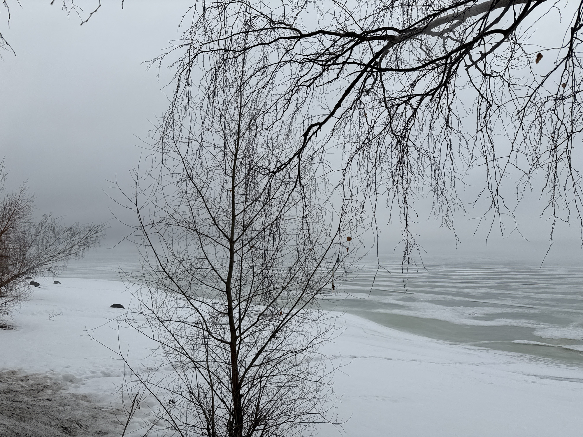 The photograph depicts a winter scene on the shore of the Votkinsk Reservoir in the city of Chaikovsky, Russia. In the foreground, bare trees frame a landscape covered in snow and ice. The frozen reservoir extends into the background, partially obscured by fog or mist. The ice on the water surface has a layered or cracked appearance. Footprints are visible in the snow near the shore. The sky is overcast, contributing to the overall muted and gray color palette.