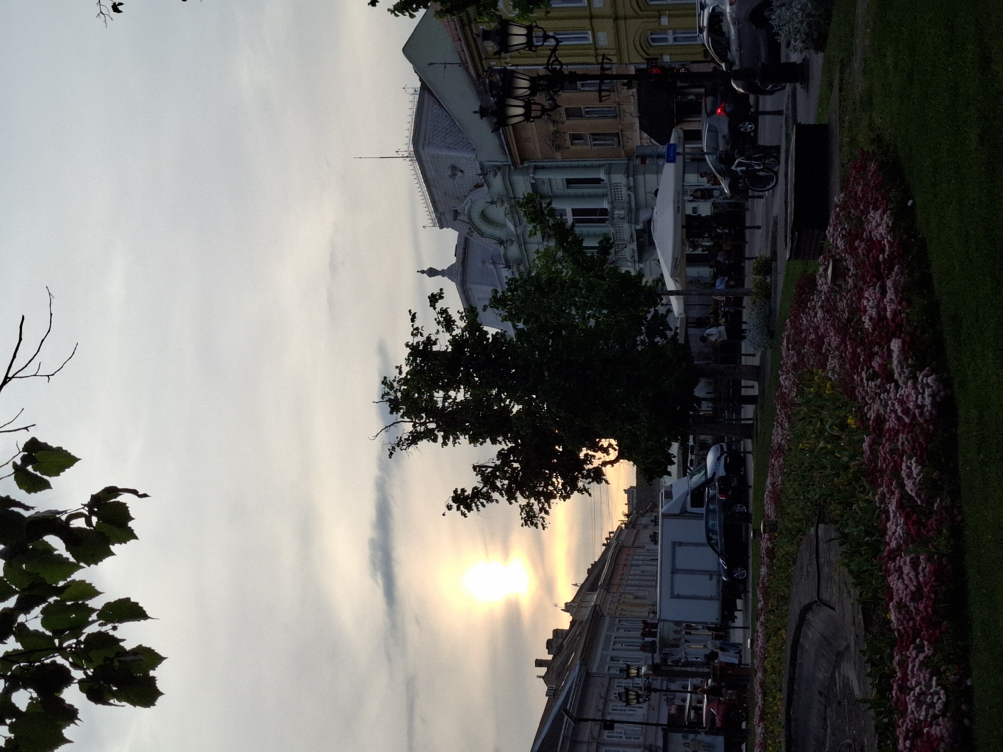 The image depicts a sunset view along a street in Novi Sad, Serbia, captured from a slightly elevated position. The sun is low in the sky, creating a bright glow that silhouettes a tree in the foreground.
On the right side of the frame, a flower bed runs parallel to the street, featuring pink and red flowers. The street contains parked cars, motorcycles, and pedestrian traffic. A cafe or restaurant with outdoor seating is visible behind the tree and flower bed, with white umbrellas covering the tables. The buildings lining the street showcase a mix of architectural styles, with ornate facades and varying heights. A street lamp is positioned near the front of the buildings.
The sky is overcast with light clouds. Overall, the image captures a lively street scene in Novi Sad.