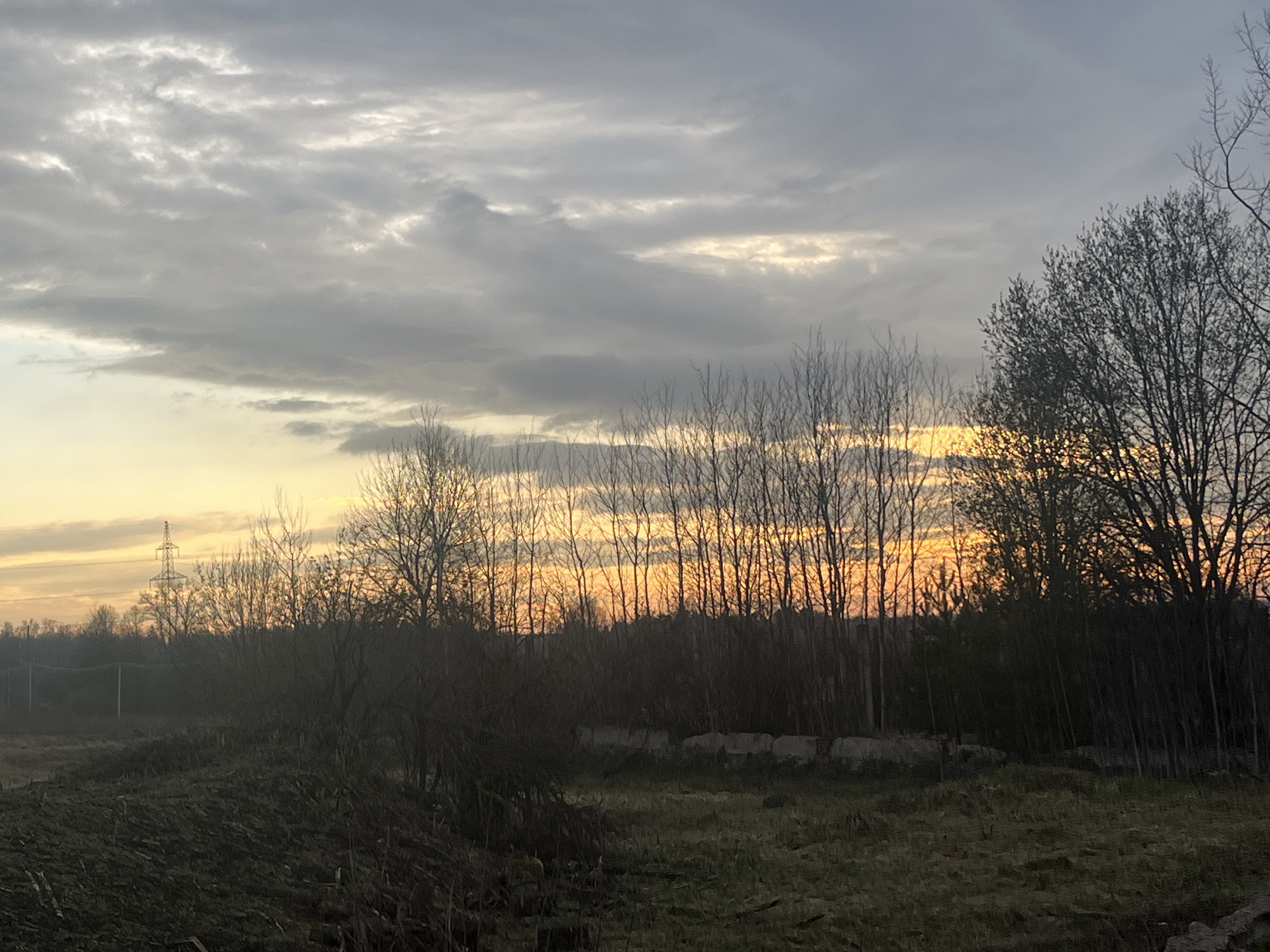 The image depicts a rural or semi-rural landscape captured during either sunrise or sunset in Razdolye, Russia. The sky is a prominent feature, covered mostly by grey, layered clouds, but warm orange and yellow light from the low sun pierces through along the horizon, creating a striking glow behind the tree line.
A dense band of bare, deciduous trees stretches across the middle ground, their stark, leafless branches silhouetted against the bright sky. On the far right, some trees exhibit early spring foliage. The foreground consists of an unkempt field or clearing covered in dry, dark grass and brush, with what appears to be an overgrown or recently disturbed patch of ground.
In the distance on the far left, a tall metal power line tower stands against the lighter portion of the sky, indicating human infrastructure within the natural setting. Along the base of the trees in the mid-ground, there are visible lighter-colored elements resembling concrete blocks or remnants of an old structure. No human activity or visible text is present. The overall atmosphere conveys a sense of quietude and transition, characteristic of the changing light at dawn or dusk.