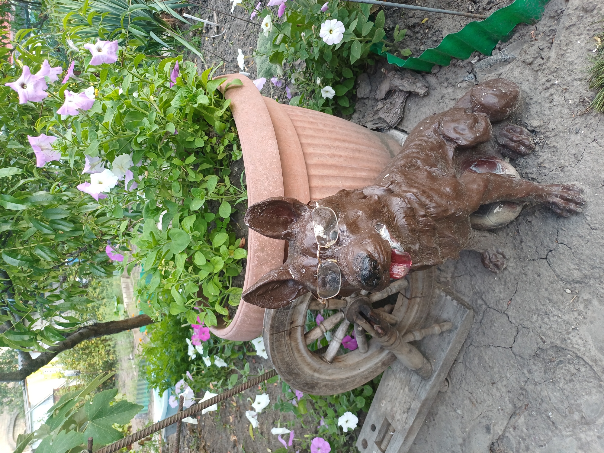 A brown dog statue with gold-rimmed glasses and a red tongue sticking out sits on cracked concrete in front of a large terracotta pot filled with green plants and light pink petunias. To the left of the statue is a wooden spinning wheel. The background shows a garden with more plants and a building. The scene is located in Sulymivka, Ukraine.