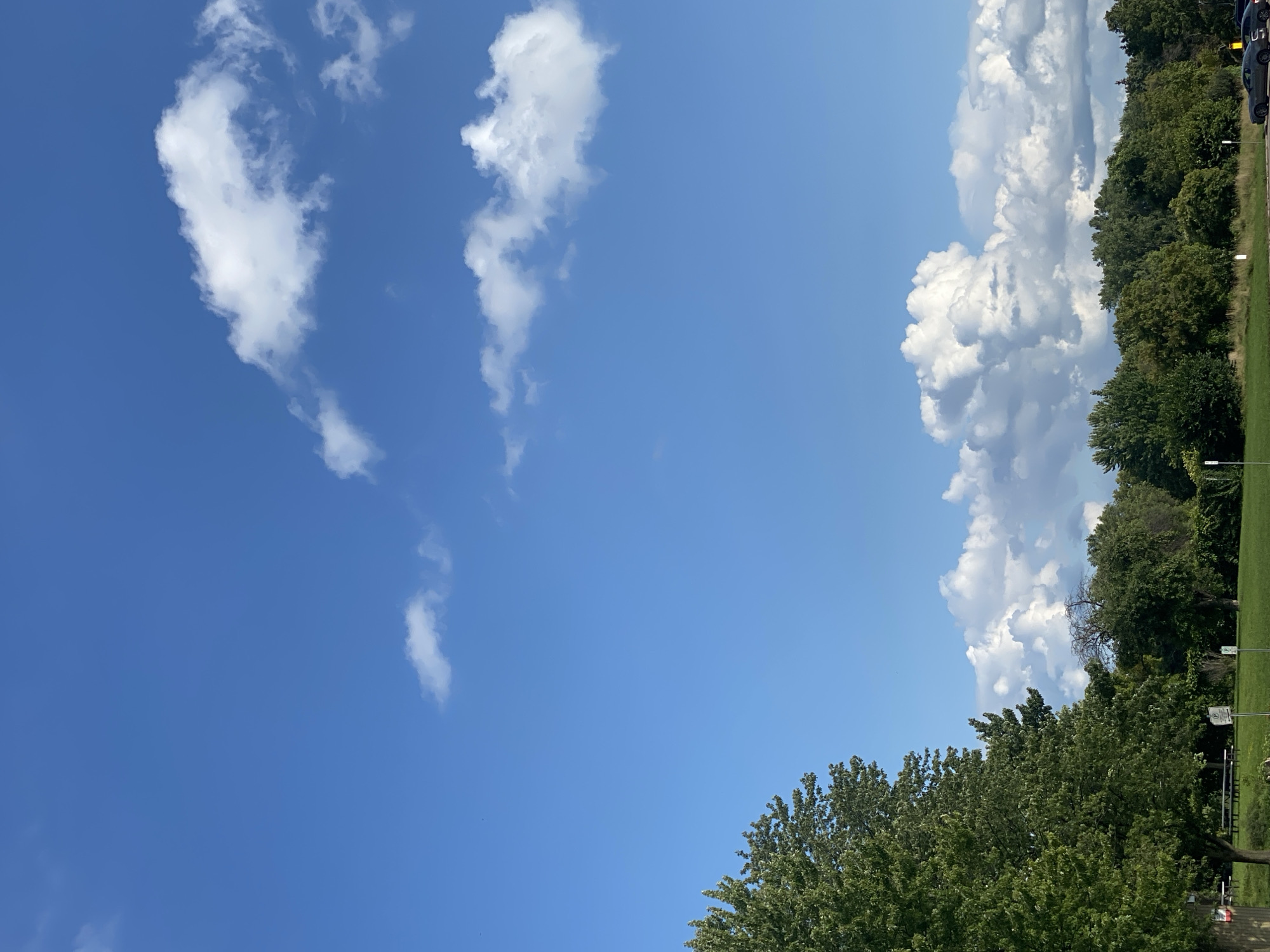 A clear blue sky with scattered white clouds is visible above a park in Sainte-Anne-de-Bellevue, Canada. In the foreground on the left, a large tree with green foliage extends into the frame. The park features a grassy area with picnic tables and benches. A line of trees forms the background, with a parking lot on the right where two cars are visible.