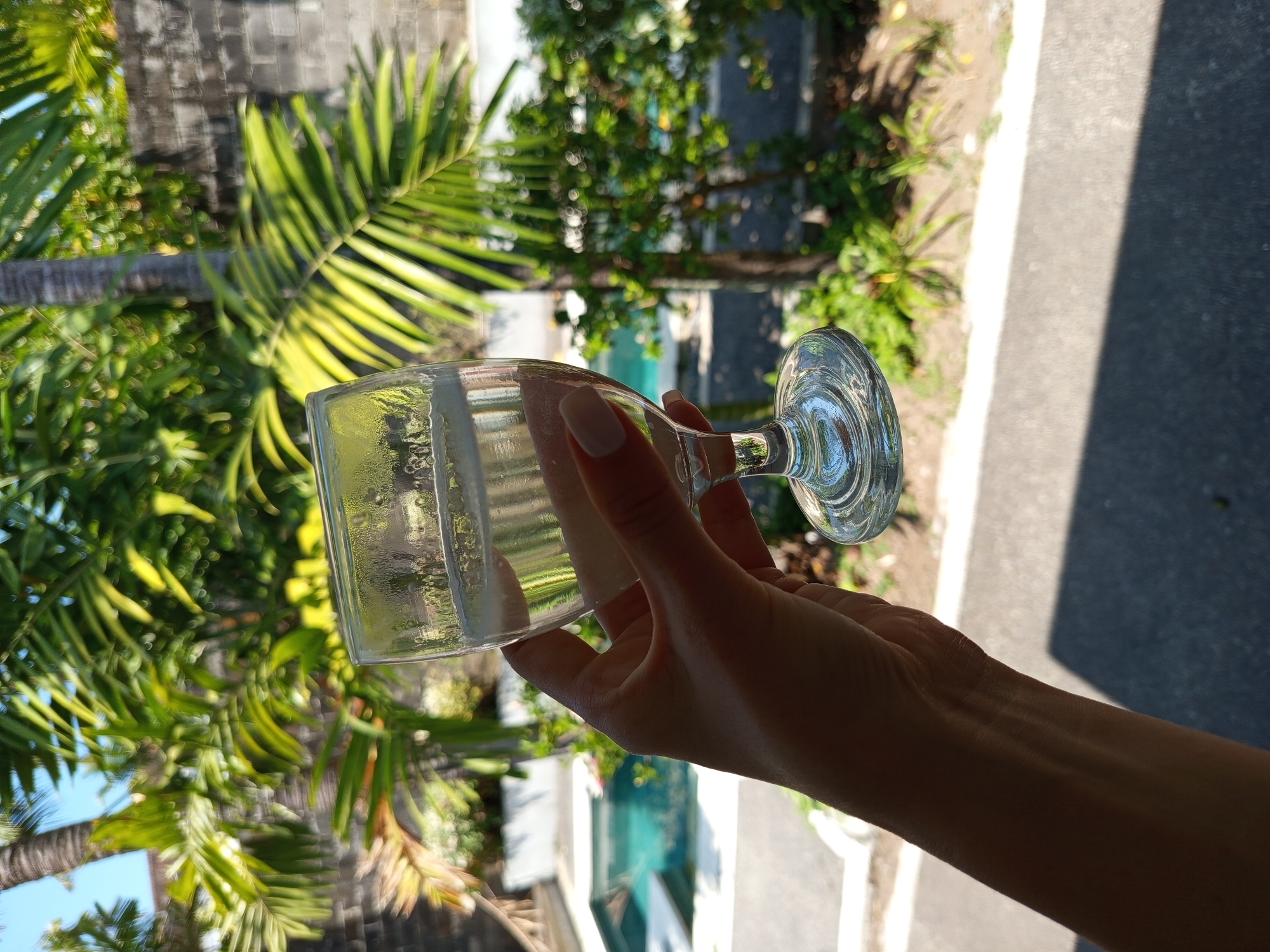 A woman's hand, with light-colored fingernails, holds a clear glass filled with a pale liquid. The glass has a rounded bowl and a thin stem, resting on a wide, circular base. The hand is in the foreground, casting a shadow. Behind the hand and glass, palm fronds and lush green foliage are visible, interspersed with a textured gray brick wall. In the background, a bright turquoise swimming pool is situated, with a paved area surrounding it. The scene appears to be outdoors, under a clear sky, suggesting a tropical or subtropical location. The overall impression is one of relaxation and leisure. The image is likely taken at a private villa or resort within the city of Denpasar, Indonesia, a popular tourist destination known for its beautiful beaches and lush natural landscapes.