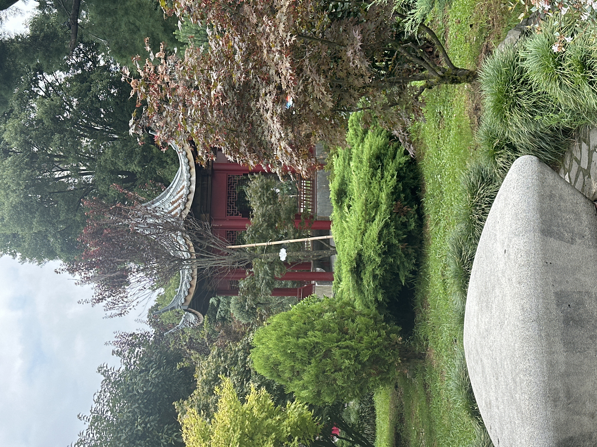 This image depicts a serene garden scene within the Batumi Botanical Garden in Batumi, Georgia. A traditional Chinese-style pavilion with a curved, tiled roof and red pillars is centrally located, surrounded by lush greenery. In the foreground, a large, smooth, grey rock sits on a bed of grass and ornamental plants. Various trees and shrubs, including a Japanese maple with reddish-brown leaves, contribute to the rich texture and color palette of the garden. The atmosphere is tranquil, suggesting a quiet, natural retreat within the urban environment.