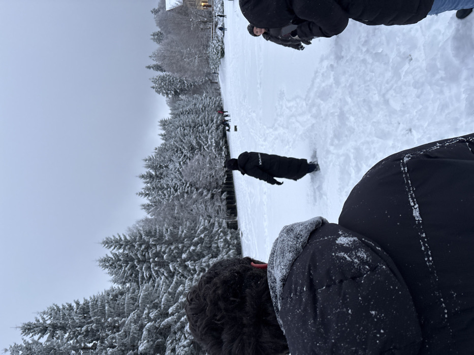The image depicts a snow-covered outdoor scene in Barr, France, under an overcast sky. In the immediate foreground, the back of a person's head with dark, curly hair and their left shoulder, clad in a black puffer jacket dusted with snow, is visible, indicating the perspective is from behind this individual looking forward. Ahead, in the mid-ground, a second individual wearing a long black puffer jacket with "Klein Jeans" visible on the back walks away from the viewer, making distinct footprints in the deep snow. To the right, a third person is partially visible, also in a dark winter jacket, with their face turned towards the left, observing the scene.
The environment consists of a vast expanse of undisturbed snow covering the ground. A dense forest line of snow-laden coniferous trees, primarily pines or firs, forms the background, extending across the horizon from left to right. Further into the snowy field, beyond the walking individual, several smaller, blurred figures are visible, suggesting other people are present. A building with a light facade and dark roof is partially discernible through the trees on the far right, indicating human settlement within the snowy landscape. The overall atmosphere is cold and wintry.