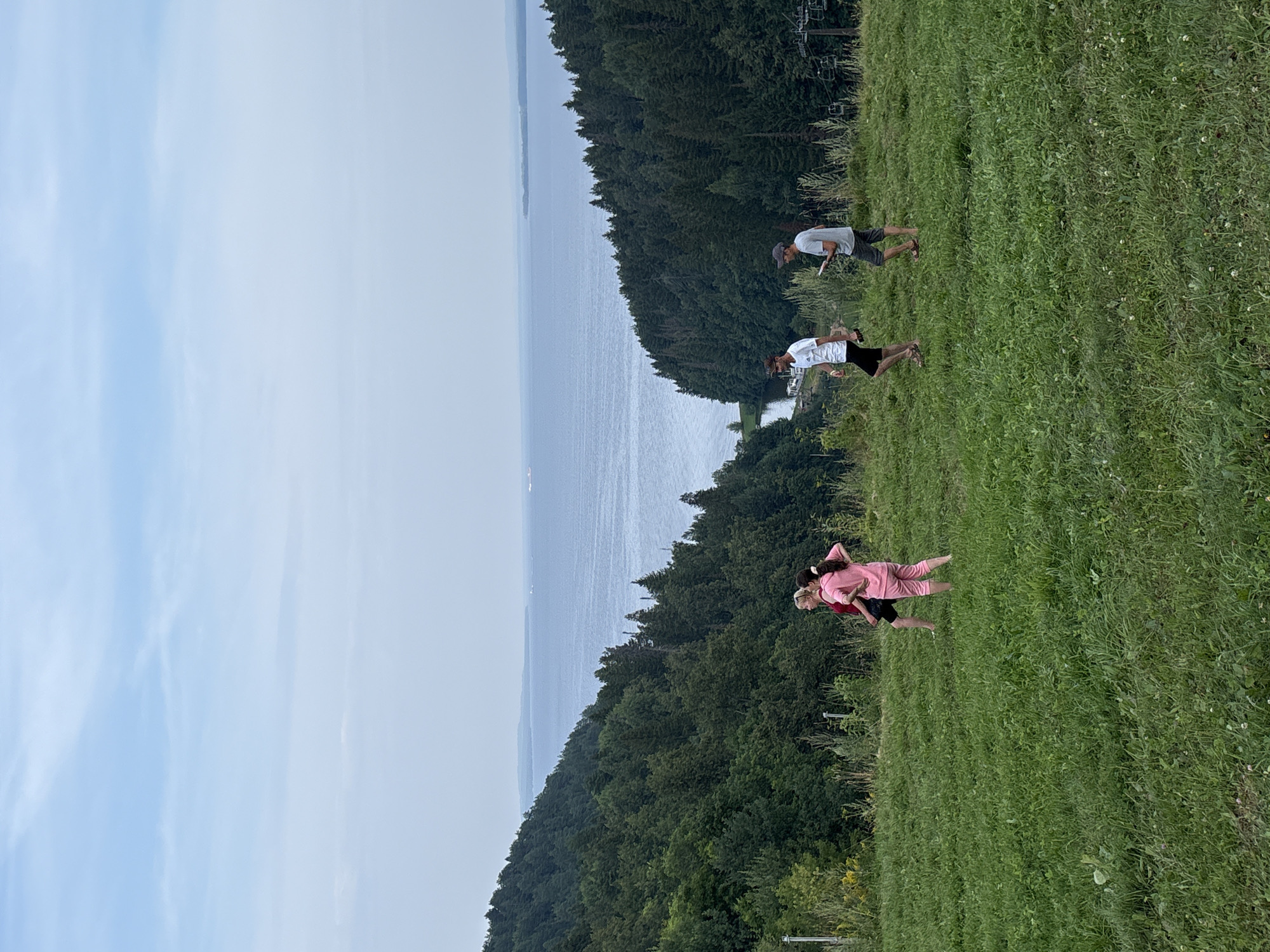 The image depicts a panoramic view of a large body of water, possibly a reservoir or a wide river, bordered by a dense, lush green forest that slopes down to the water's edge. The sky above is overcast with soft, diffused light. In the foreground, a grassy slope is occupied by four individuals. Two women, dressed in pink athletic wear, are standing together, facing away from the viewer. Further to the right, two men are walking. One man, wearing a white t-shirt and black shorts, walks ahead, while the other, in a grey t-shirt and shorts, carries a flat, rectangular object, possibly a tablet or a clipboard. The environment suggests a natural landscape, possibly a park or recreational area, with a chairlift system visible on the far right, hinting at a location that might offer activities such as hiking or even skiing in a different season. The overall atmosphere is serene and natural, with the vastness of the water and the enveloping forest creating a sense of peaceful seclusion. There is no indication in the image that this location is within the city of Galevo, Russia.
