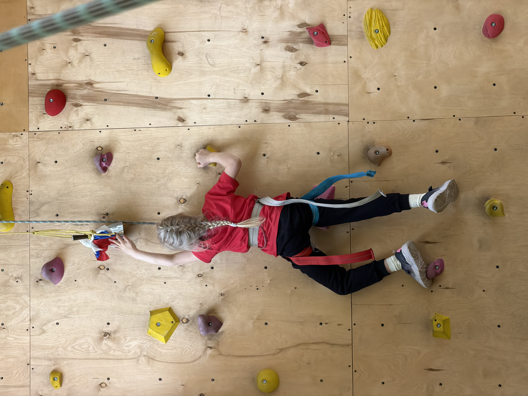 The image captures a young child actively climbing an indoor wall, viewed from an overhead perspective. The child, with blonde hair styled in a braid, wears a red long-sleeved shirt, black trousers, and sneakers, secured by a white and red climbing harness with blue straps.
The climbing wall is constructed from light-toned wooden panels, adorned with numerous colorful holds in shades of yellow, red, purple, and beige. The child is positioned horizontally against the wall, with one hand gripping a yellow hold and one foot planted firmly on a purple hold. Their other hand reaches towards a white and red object, which appears to be part of a safety or attachment system, connected to their harness by a yellow rope. A thicker, green and black striped rope is visible diagonally in the upper left portion of the frame.
The activity suggests recreational climbing or bouldering, with the child appearing focused and engaged in maneuvering across the wall. The object the child is reaching for displays colors (white, blue, red) reminiscent of the Russian flag. The setting is brightly lit, typical of an indoor climbing facility. There is no visible text in the image. The scene conveys a sense of fun and physical activity in a safe, controlled environment.