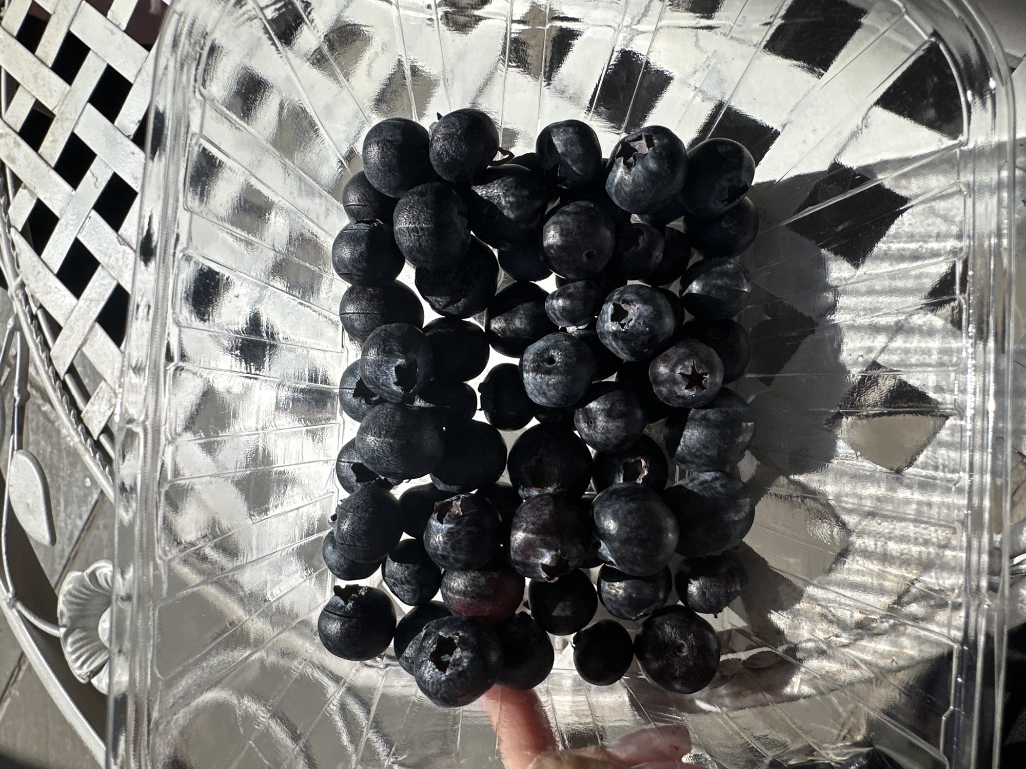 A top-down shot shows a clear plastic container filled with blueberries on a surface with a woven metal pattern, possibly an outdoor table. A hand, partially visible at the bottom, is touching some of the blueberries. The light source is positioned to cast shadows within the container and on the surface. The location is unknown, but the prompt suggests that it is in Sofia, Bulgaria. However, nothing in the image confirms this location.