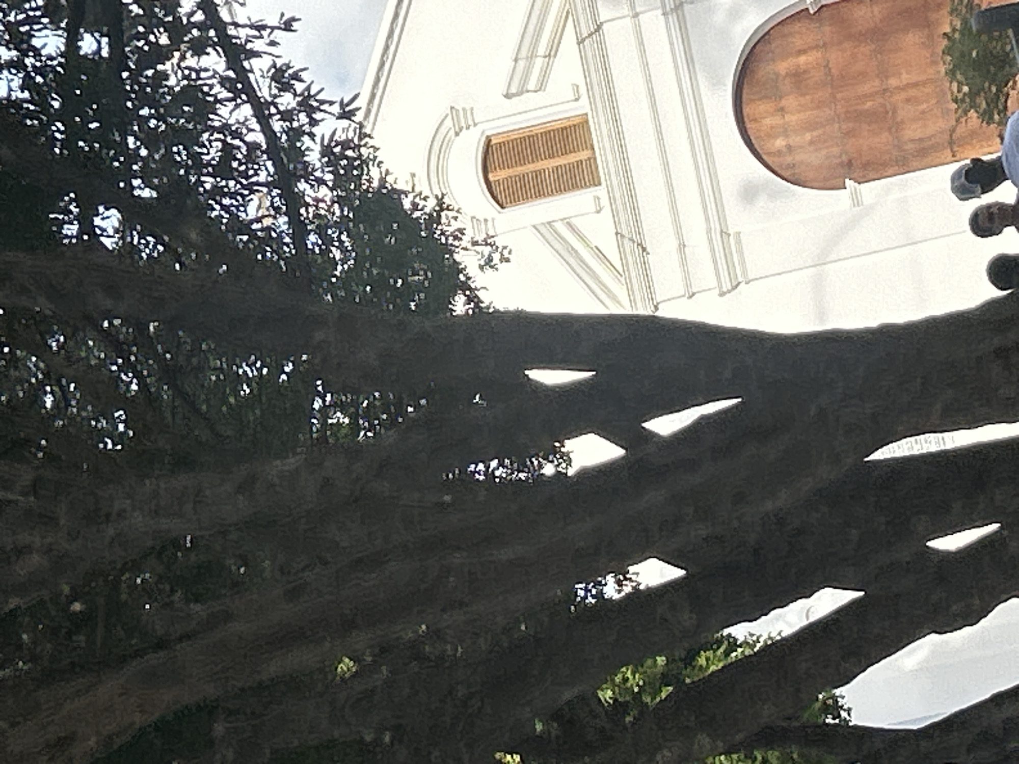 A low-angle, partially obscured view captures the textured bark of a large tree in the foreground, with its branches and leaves filtering sunlight. In the background, a white colonial-style building with arched doorways and windows is visible. The building features decorative architectural elements, including molding and a prominent arched entrance with a large, wooden door. A narrow, louvered window with wooden shutters is situated on the upper facade. The scene appears to be outdoors, under a bright sky. The image is from Santa Ana, Venezuela.