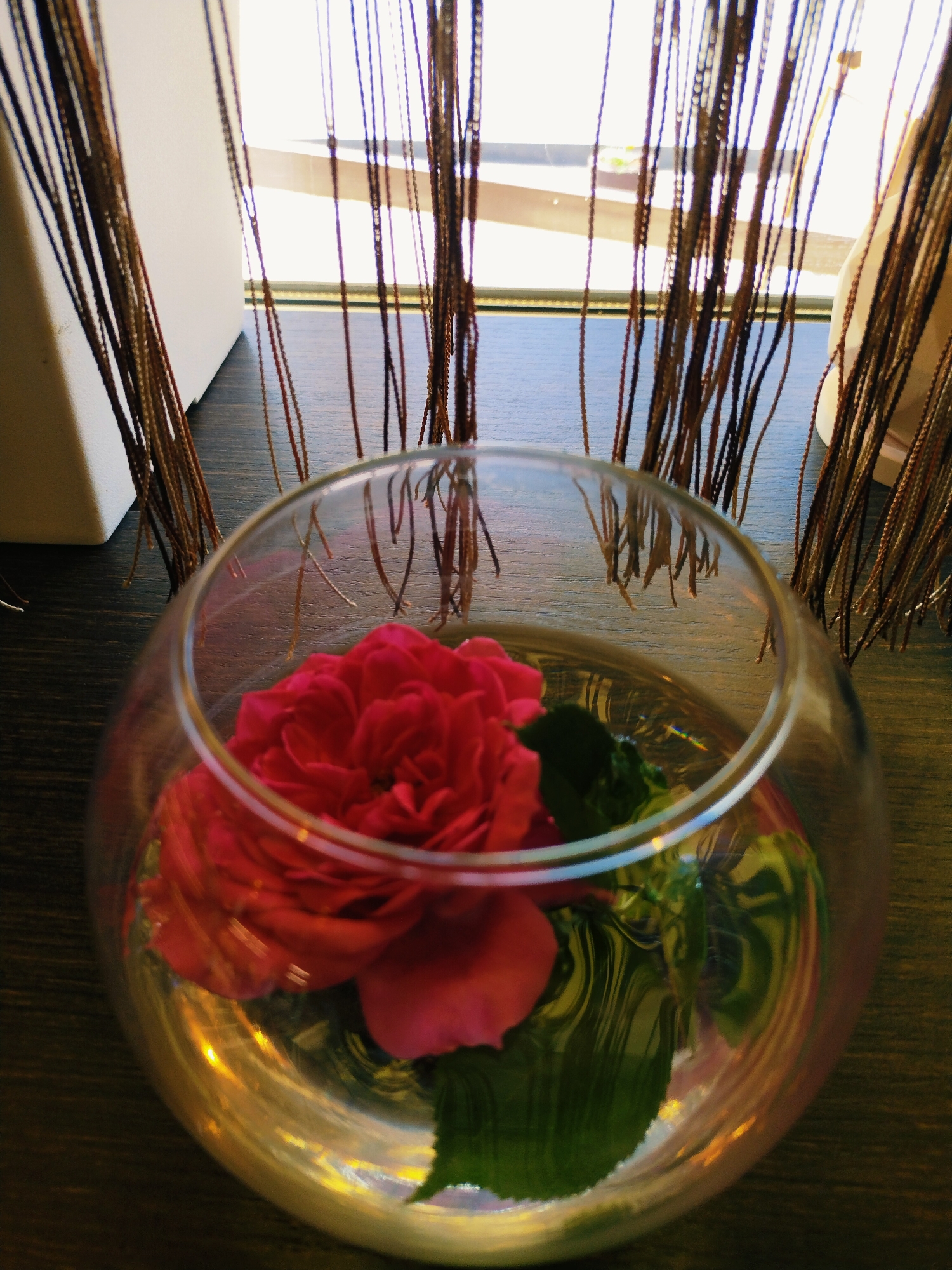 A close-up, slightly angled shot shows a single red rose floating in a clear glass bowl filled with water, placed on a dark wooden surface. The bowl is positioned in the foreground, with the rose occupying most of its visible area. Behind the bowl, thin, dark, vertical strands, possibly part of a decorative screen or curtains, hang down, obscuring a brightly lit background. The background appears to be a window with horizontal blinds or slats, suggesting an indoor setting. The overall lighting is bright, with the light source behind the strands creating a diffused glow. The scene is static, with no people or apparent activity. The image is focused on the rose and its presentation in the water-filled bowl. The location in the city of Horishni Plavni, Ukraine is not discernible from the visual elements present in the image.