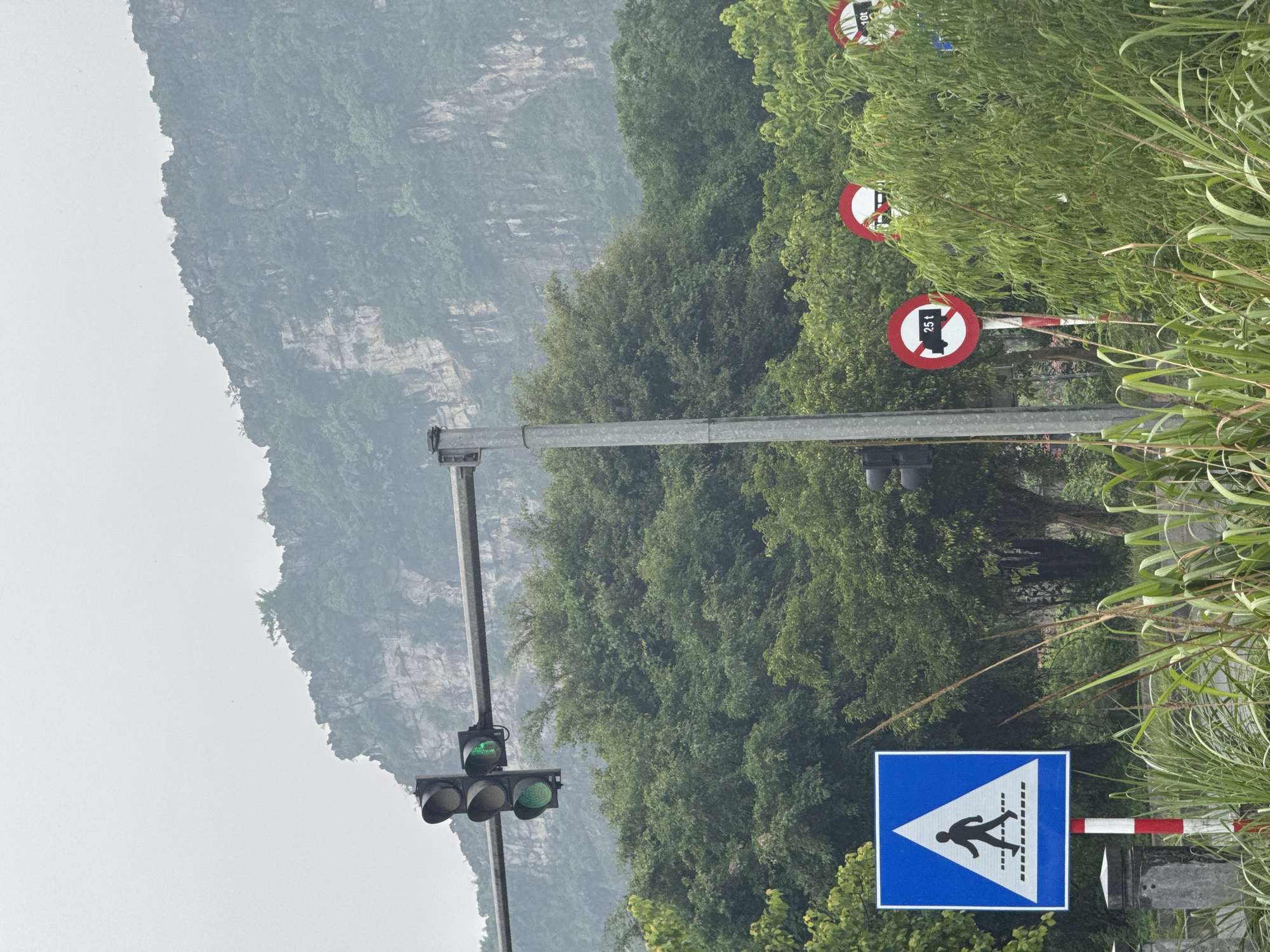 A traffic light, displaying a green signal, is mounted on a horizontal pole above a lush green forest. In the foreground, a pedestrian crossing sign, a blue square with a white triangle and a pedestrian silhouette, stands beside a red and white striped pole. Several circular red and white signs, indicating weight restrictions (25t and 10t), are visible amongst the foliage. A misty, mountainous landscape forms the backdrop. The scene appears to be on a road in Hoa Lư Ward, Vietnam, given the presence of local signage and vegetation.
