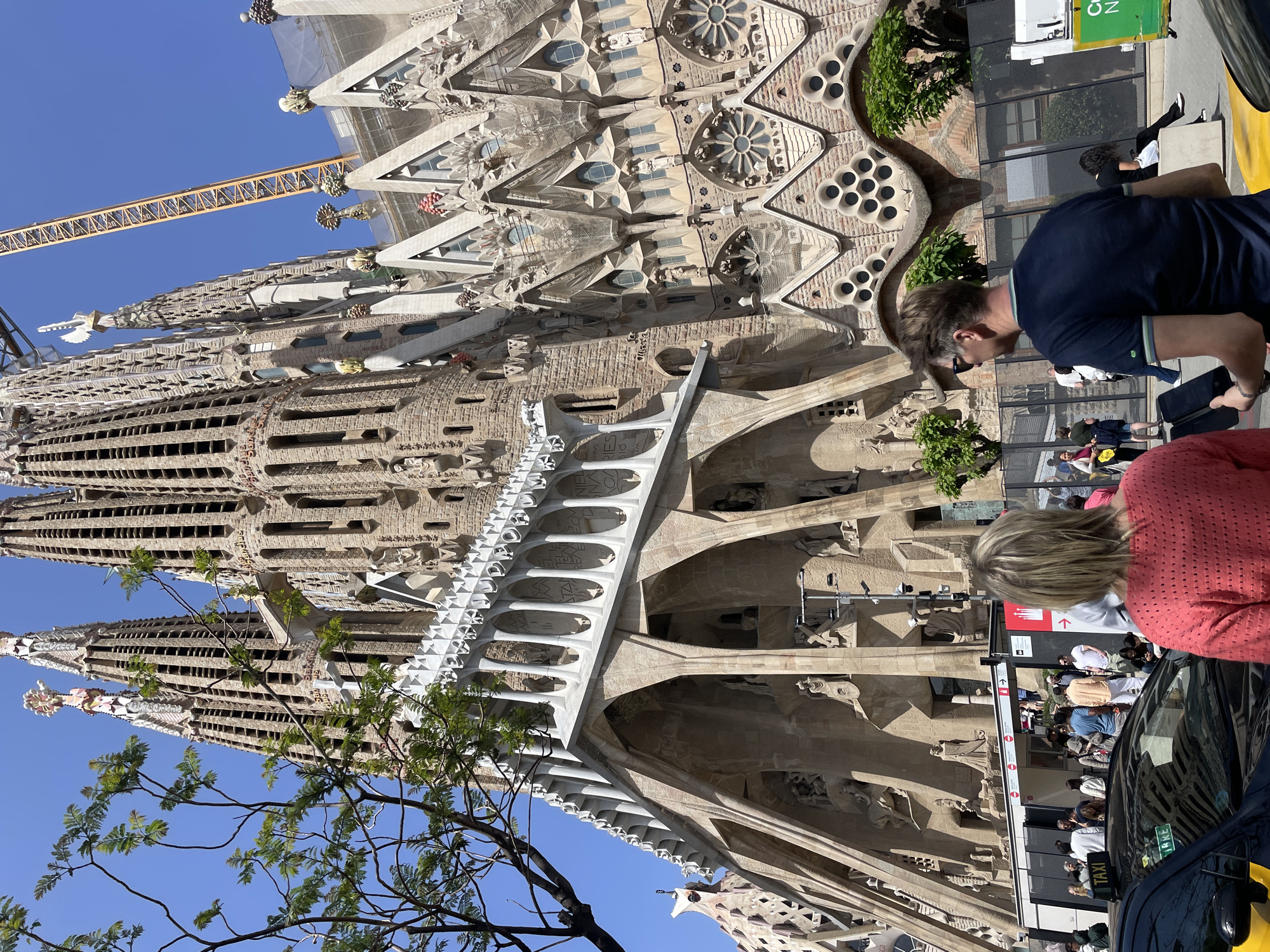 The image captures a sunlit daytime view of the Sagrada Familia basilica in Barcelona, Spain, an iconic masterpiece of Modernisme architecture. The colossal building dominates the scene with its highly detailed, organic, and sculptural stone facades. Multiple towering spires, adorned with intricate pinnacles and decorative elements, rise towards a clear blue sky. Evidence of ongoing construction is visible, including scaffolding on some sections and a large yellow crane arching across the upper left portion of the sky, indicating the basilica's continuous evolution. The stone, a light sandy color, is rich with carved details, including arches, rose windows, and numerous figures. Text carved into the facade, such as "REX" and "EL SANTO", are discernible upon closer inspection of different sections.
In the foreground and midground, several people are observing the grand structure. A man in a dark blue polo shirt and sunglasses stands with his back partially to the camera, looking towards the building. In the immediate foreground, a woman with blonde hair, wearing a coral-colored knitted top, also faces away, seemingly admiring the view. Beyond them, other individuals are visible, some behind metal barriers, suggesting a public viewing area.
Urban elements include a black taxi cab with "TAXI" and "BARCELONA" clearly visible on its sign, parked in the bottom right corner. Green foliage from trees provides natural accents, while a white service vehicle with a green sign showing part of the word "ON" is in the distant background. The bright sunlight and absence of clouds indicate clear, pleasant weather. The overall atmosphere suggests a busy tourist location, where visitors are captivated by the unique blend of natural and architectural artistry.
