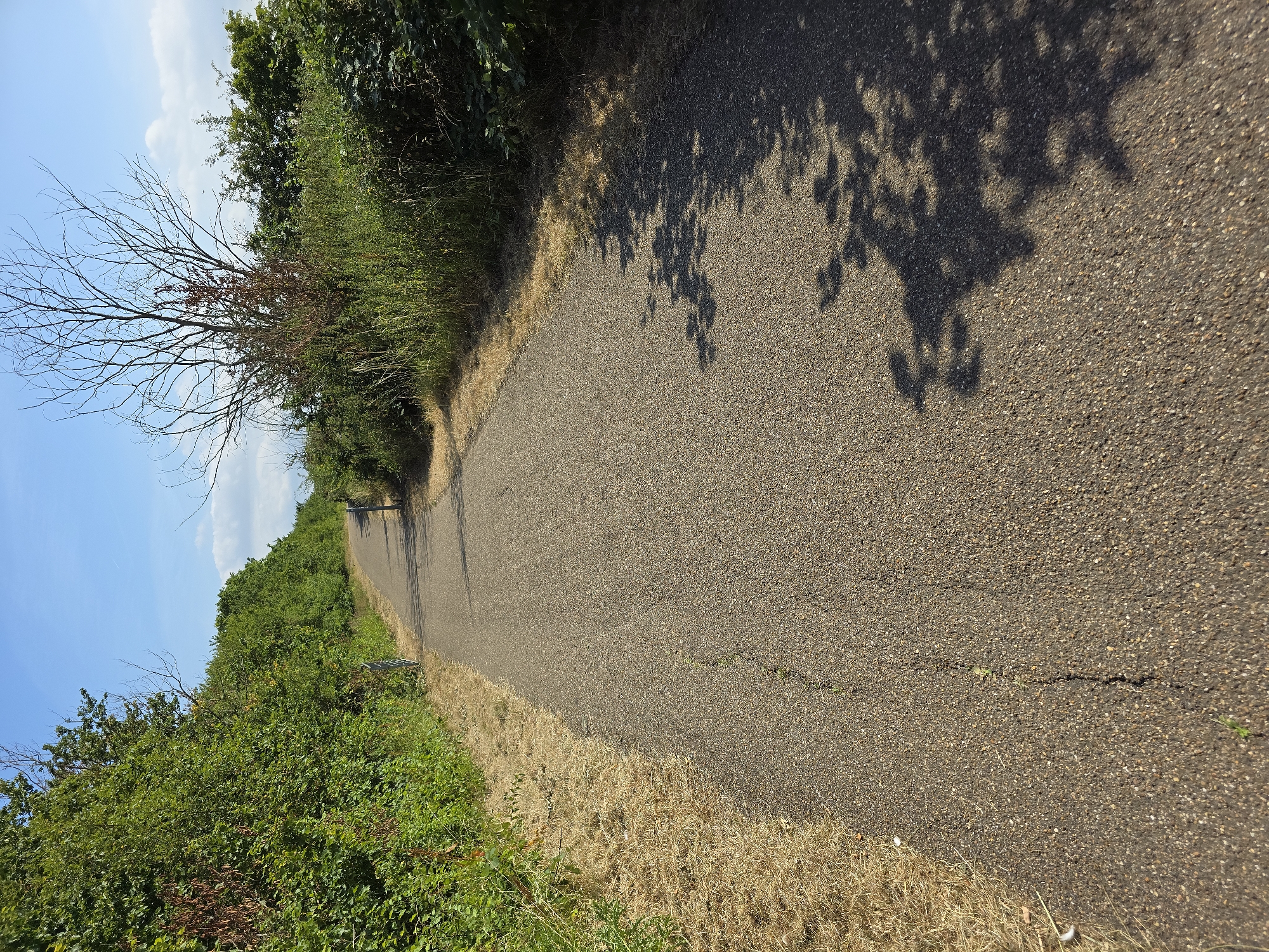 The image depicts a paved path curving through a landscape of lush green vegetation and dry grass. The path is made of asphalt with small stones embedded in it, and it shows some signs of wear, with a visible crack running across its surface. The vegetation on the left side of the path is dense and appears to be a mix of trees and bushes, with some dry, leafless branches from a tree protruding upwards. On the right side of the path, a strip of dry, golden grass borders the asphalt, contrasting with the vibrant green on the other side.

The path is partly shaded by the shadows of tree leaves, suggesting it is a sunny day, likely midday or early afternoon. The sky is a clear blue with a few wispy white clouds, indicating fair weather. The overall scene conveys a sense of a natural, outdoor environment, possibly a park or a trail, suitable for walking or cycling. There are no people or animals visible in the image, and no text is present. The composition, with the path leading into the distance, creates a sense of depth and invitation to explore. The location context of Stockton-on-Tees, United Kingdom, suggests a temperate climate.