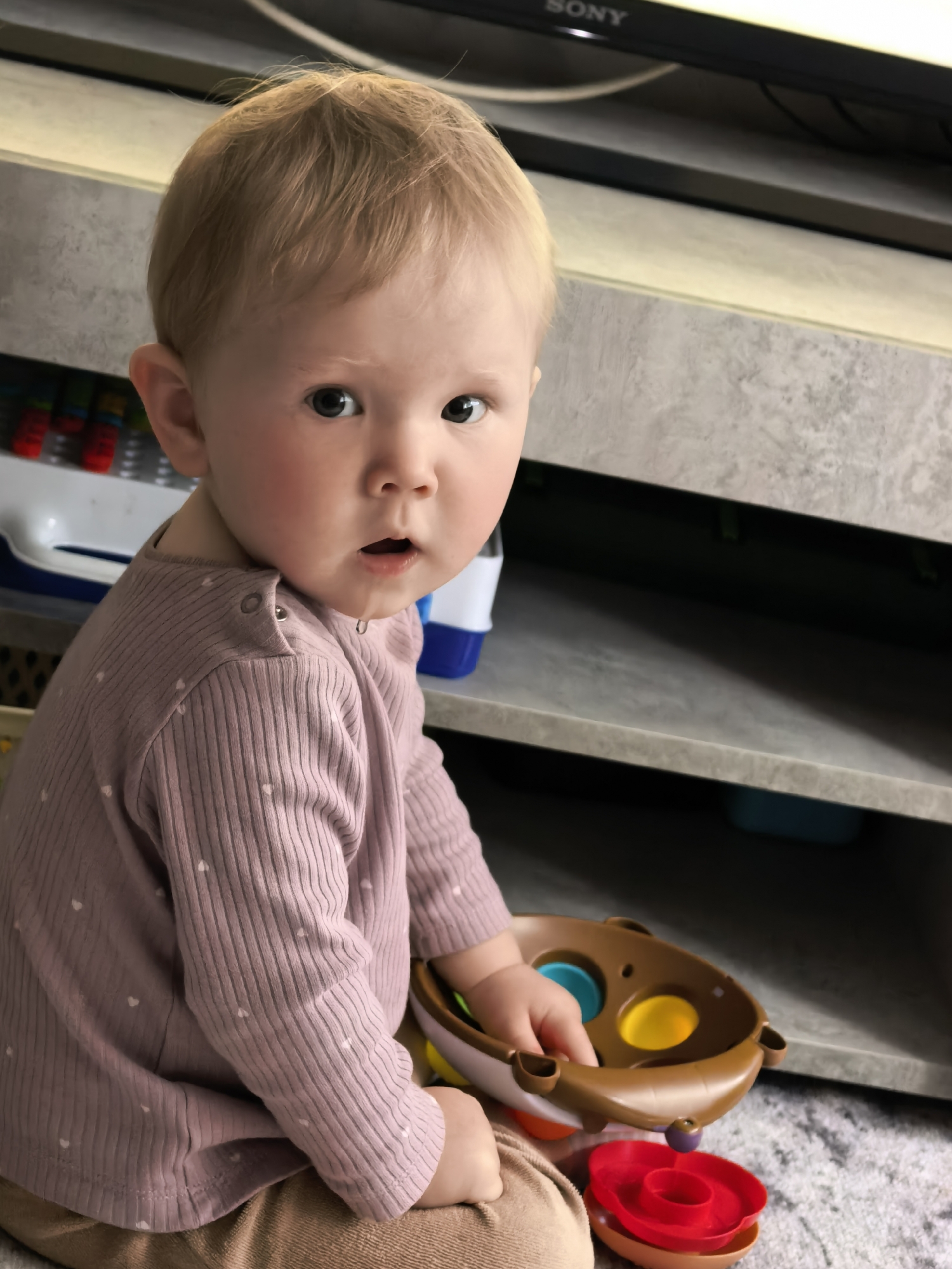 An infant with light blonde hair, fair skin, and dark eyes looks directly at the camera with an open-mouthed expression, a drop of saliva visible on the lower lip, while seated on a light grey textured carpet in a room in the city of Sterlitamak, Russia. The child wears a light mauve ribbed long-sleeved shirt patterned with small white hearts, featuring snap buttons on the left shoulder, and light brown pants. The infant's right hand holds a brown, bear-shaped sorting toy with yellow and blue circular inserts. Red and orange plastic stacking rings are visible on the carpet nearby. In the background, a modern, light grey, concrete-textured shelving unit or media console supports a black electronic device with a visible "SONY" logo and a white cable on its top surface. A light blue object is partially visible within a lower compartment of the shelving unit.