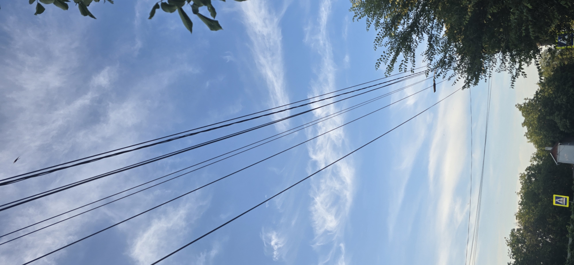 The image depicts a low-angle view of a clear blue sky with scattered white clouds, partially obscured by several parallel overhead power lines running diagonally from the upper left to the lower right. A few leaves from a tree are visible in the upper right corner. In the lower portion of the image, a line of trees forms a dense green canopy. Below the trees, a small white building with a reddish-brown roof is visible. To the left of the building, a yellow pedestrian crossing sign with a black pedestrian symbol is displayed. A single bird appears to be in flight in the upper center of the sky. The scene suggests an outdoor, potentially suburban or rural, environment with power infrastructure and vegetation.