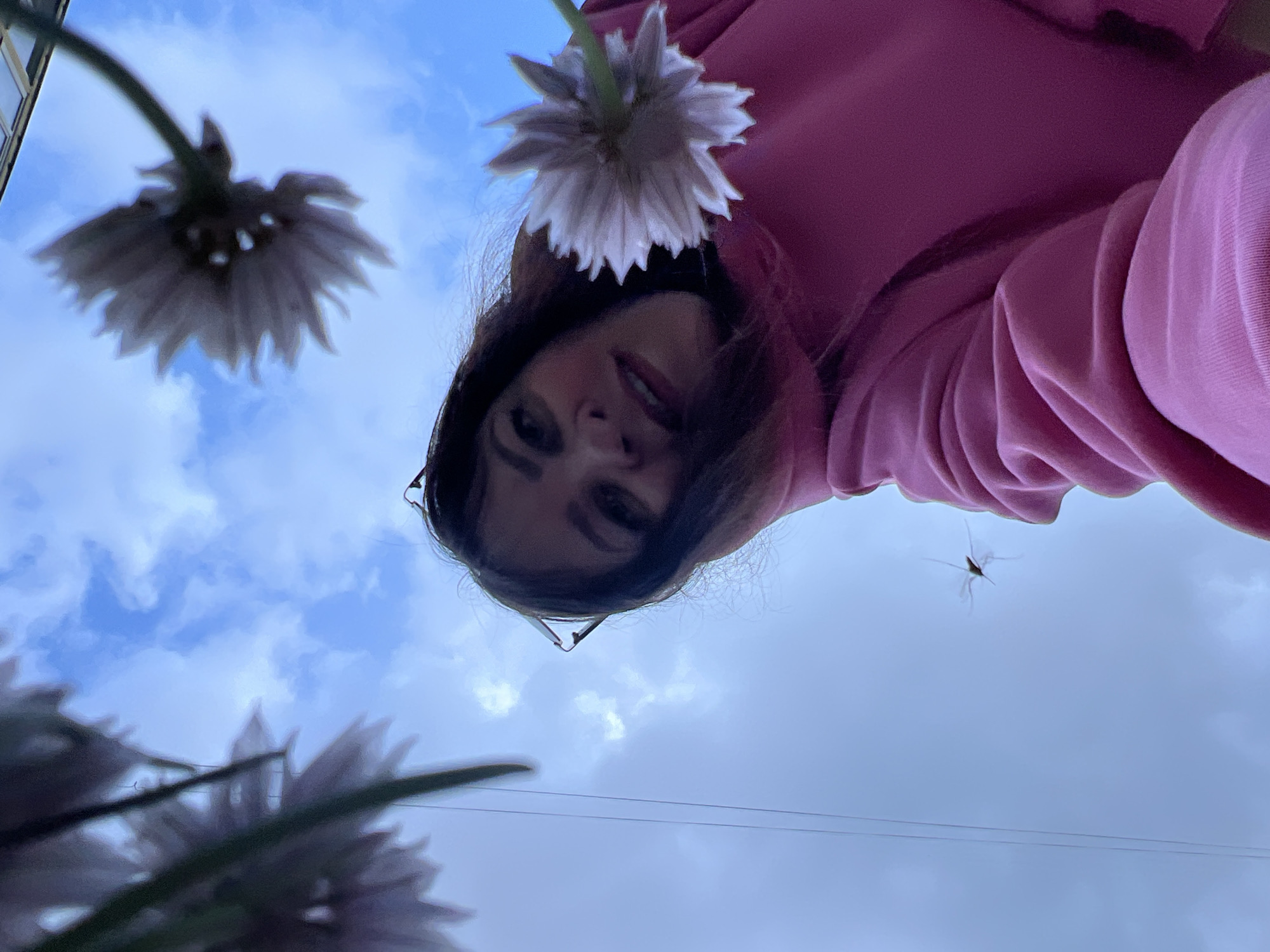 This image is taken from a low-angle perspective, looking upwards towards a partially visible person, several flowers, and the sky. The central subject is a person, likely female, with dark hair and wearing a pink or magenta hooded sweatshirt, positioned in the upper center of the frame. She is looking down towards the camera with a subtle smile, and is wearing glasses.
Three flowers, appearing as light purple or off-white composite blooms (possibly dandelions or similar), are seen from their undersides. One is prominent in the upper right, near the person's head, while another blurred one is in the upper left, and a third is indistinctly in the lower left. Their green stems extend into the frame.
The background consists primarily of a bright blue sky with scattered white clouds, indicating daytime, possibly late afternoon. A large insect, resembling a crane fly, is captured in flight in the mid-right section of the sky. A thin, dark utility wire runs horizontally across the lower-middle part of the frame, and a subtle corner of a building is visible in the far upper left, behind one of the flowers.
The activity appears to be an artistic or playful outdoor photo taken with an unusual perspective. The person's faint smile suggests a pleasant and casual mood. The setting is outdoors, likely in an urban or suburban environment in Noviy, Russia. There is no visible text in the image.