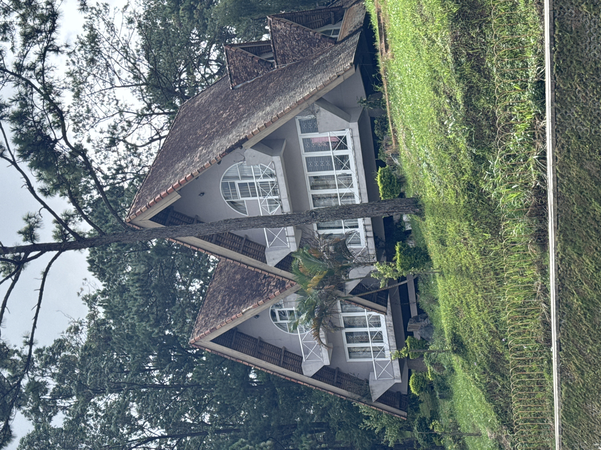 The image, oriented vertically, captures a serene hillside scene in Da Lat, Vietnam, featuring several houses nestled among dense greenery under an overcast sky.
The primary subjects are multiple light grey-colored houses, likely part of a resort or residential complex. Each house is characterized by a steeply pitched, dark brown tiled roof with reddish-brown trim. Architectural details include a mix of large rectangular windows and distinctive arched or circular windows, all featuring white frames and intricate grid patterns. Some windows also have white security bars or decorative balustrades. Balconies or terraced areas with white railings are visible on some structures. A small palm tree grows near the facade of one of the central houses.
The landscape is dominated by lush vegetation. A manicured green grassy slope covers the right side and foreground, with a section of simple wire fencing running horizontally through it. To the left and in the background, numerous tall pine trees with dark green needles create a dense forest-like backdrop, partially obscuring the light grey, overcast sky. A thick pine tree trunk extends diagonally across the lower left and middle sections of the image, partially framing the houses.
The time of day appears to be daytime, with a soft, diffused light indicating an overcast or cloudy weather condition. No specific activity or event is taking place, and no people are visible. There is no visible text in the image. The overall setting suggests a tranquil and natural environment, typical of mountainous regions like Da Lat, known for its cool climate and scenic beauty.