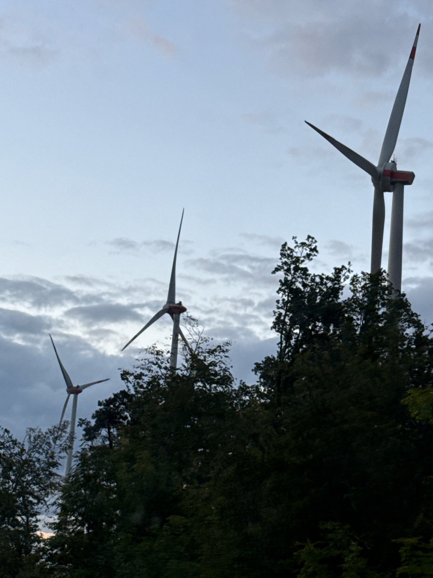 The image shows three wind turbines in the city of Sondershausen, Germany. The sky is overcast with dark clouds, suggesting a gloomy or approaching storm. The foreground is dominated by dark green trees, with the wind turbines rising above them into the sky. The closest wind turbine is on the right, and two are further to the left. The turbines are tall, gray structures with white blades that have red tips. The central wind turbine's blades are positioned to the left and right, while the furthest turbine on the right has its blades in a more upward position. The closest turbine on the left has its blades pointing upwards and to the left. The overall scene conveys a sense of industrial power amidst a natural landscape.