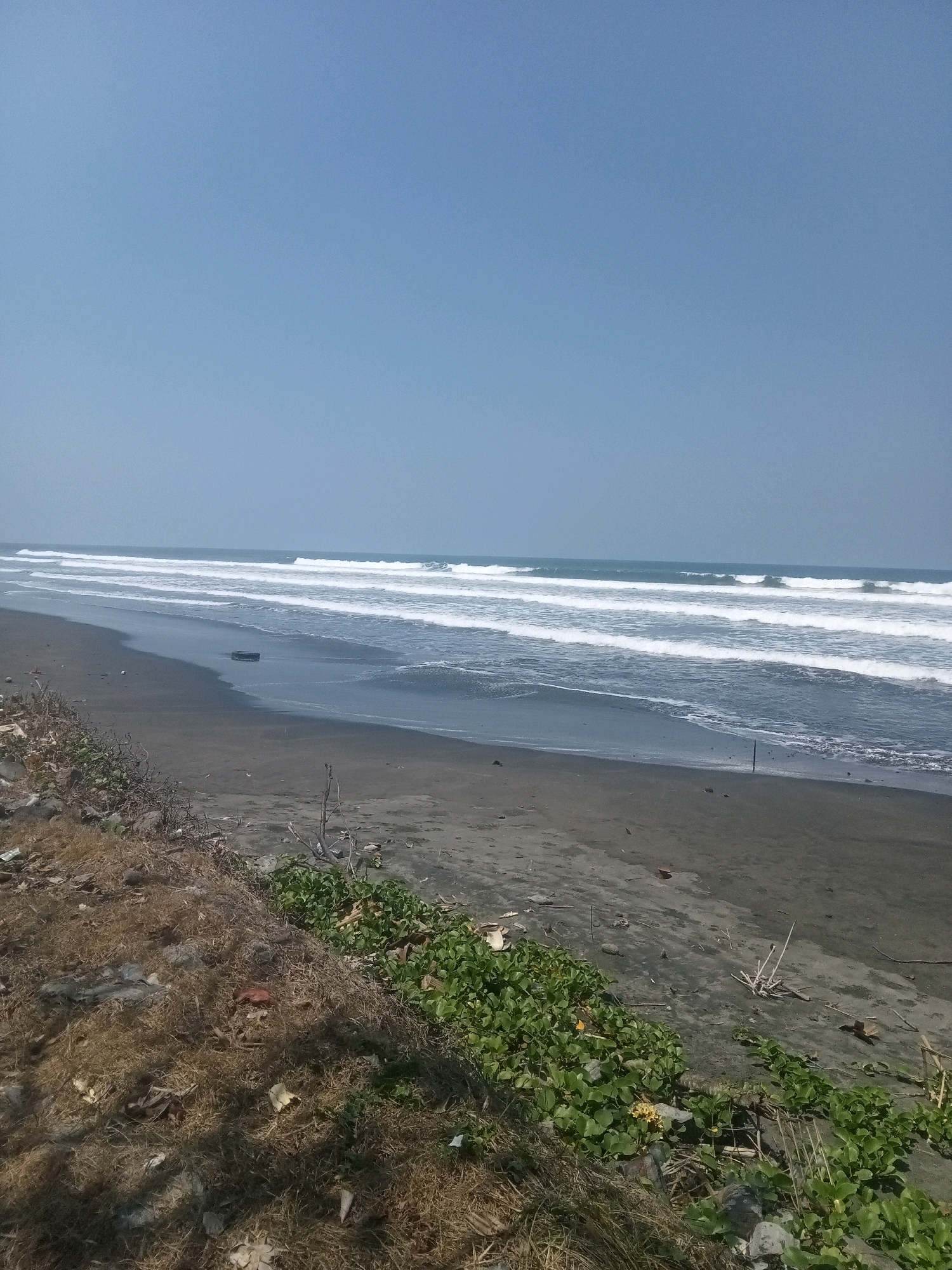 The image depicts a wide, flat, dark sand beach under a clear, pale blue sky. Multiple rows of white waves are breaking and rolling towards the shore, creating a sense of gentle movement. The foreground shows a dry, grassy embankment with scattered debris, including plastic and dry vegetation. Some green, leafy plants are growing in patches along the edge of the beach. A deflated tire rests on the wet sand near the water's edge. The overall scene is one of a natural, somewhat unkempt coastal environment.