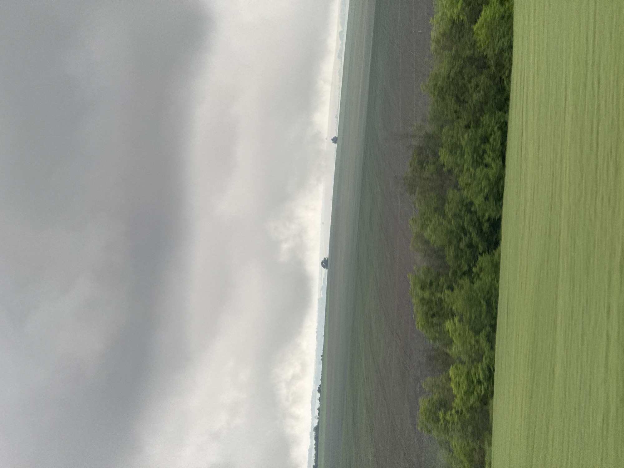The image depicts a rural landscape under a heavily clouded sky. There are patches of green and brown fields, a line of trees, and distant single trees. The absence of people, subjects, or interactions suggests an uninhabited or sparsely populated area. The environment is dominated by agriculture. There are no recognizable features that allow for a determination if the location is in or near the city of Pleven, Bulgaria.